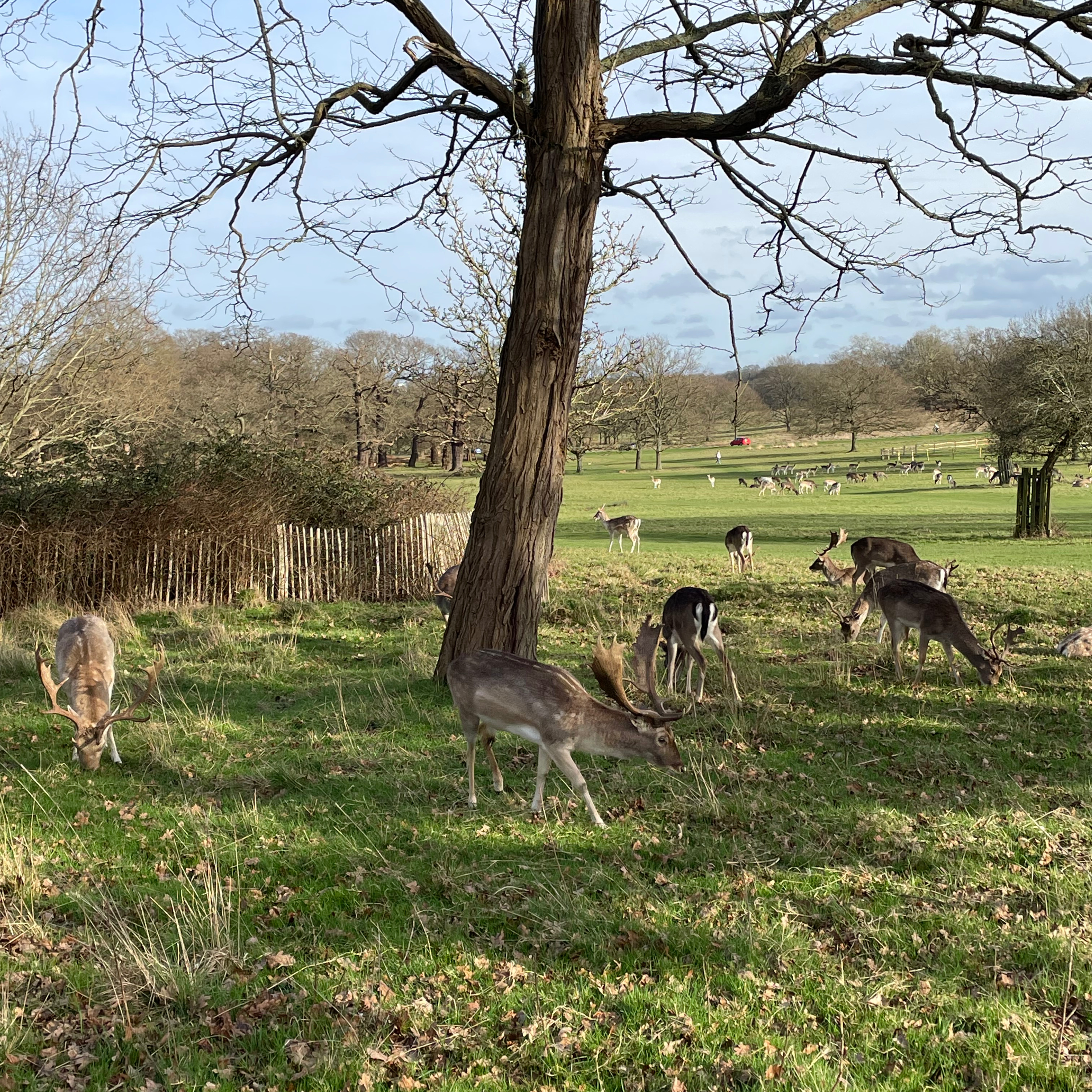 Due Passi Per Londra