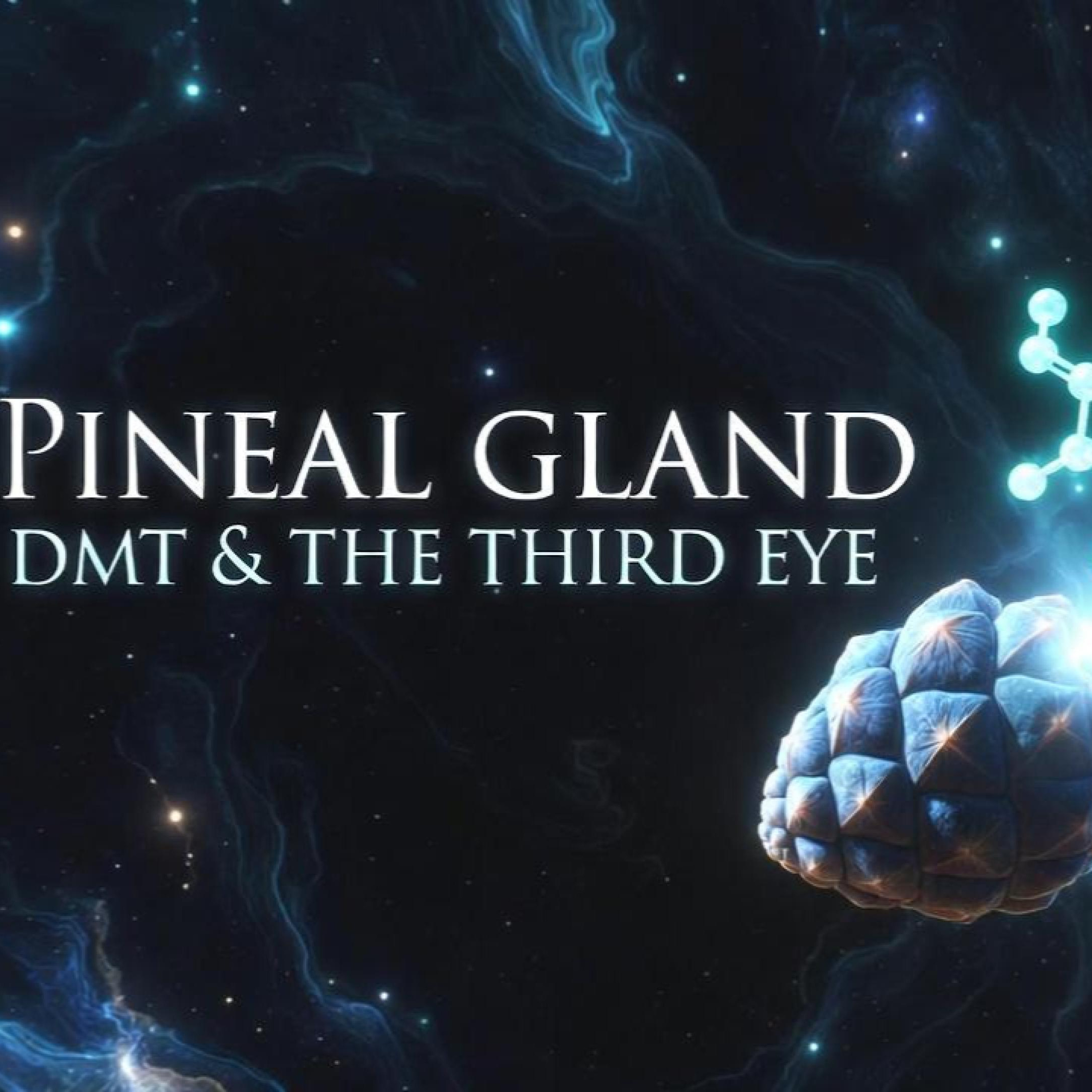 Pineal Gland DMT & The Third Eye | Deep Dive episode artwork