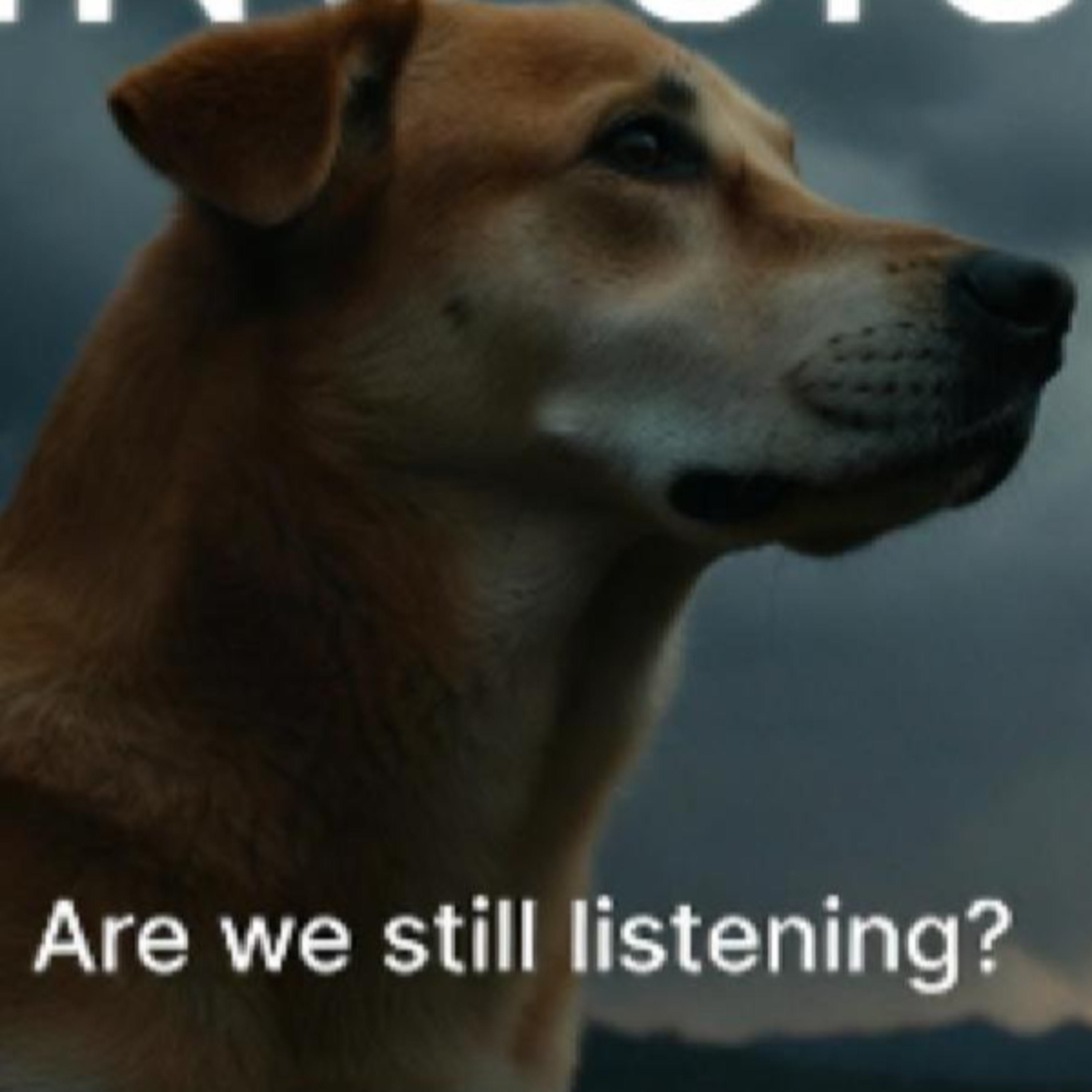 When Animals Move First Deep Dive: Nature’s Signals and Human Blind Spots episode artwork