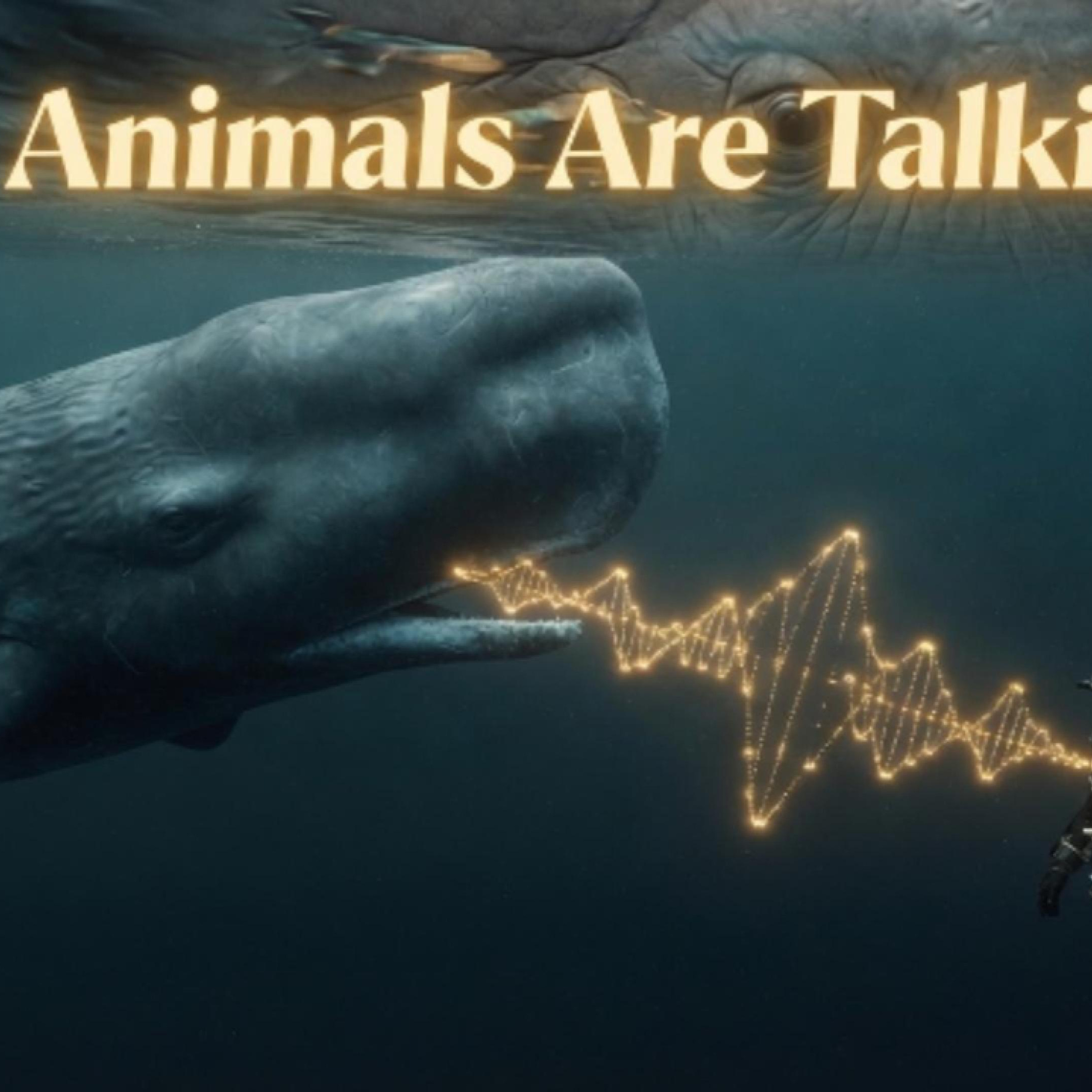 Animal Are Talking Deep Dive: AI May Finally help Us Understand episode artwork