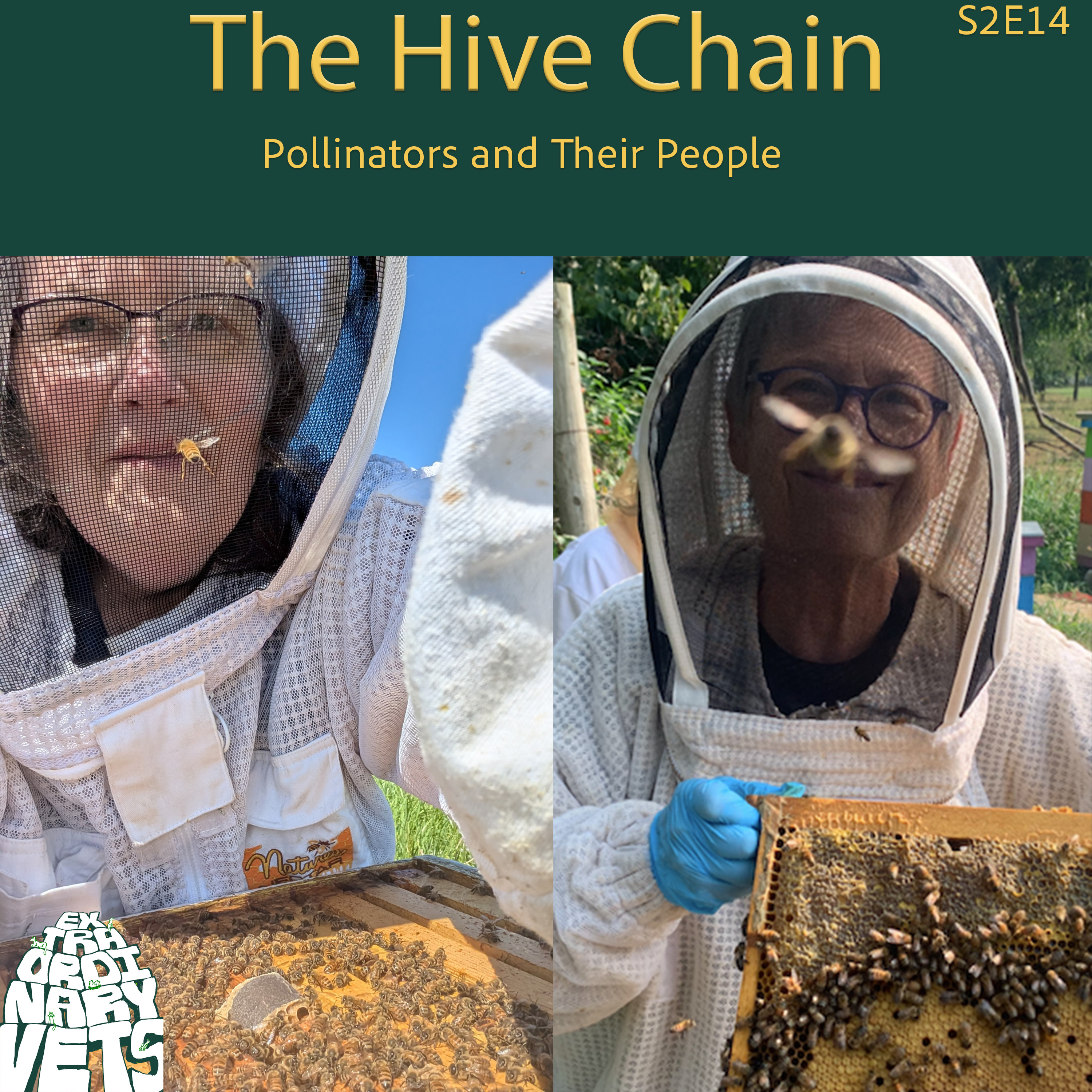 The Hive Chain: Pollinators and Their People episode artwork
