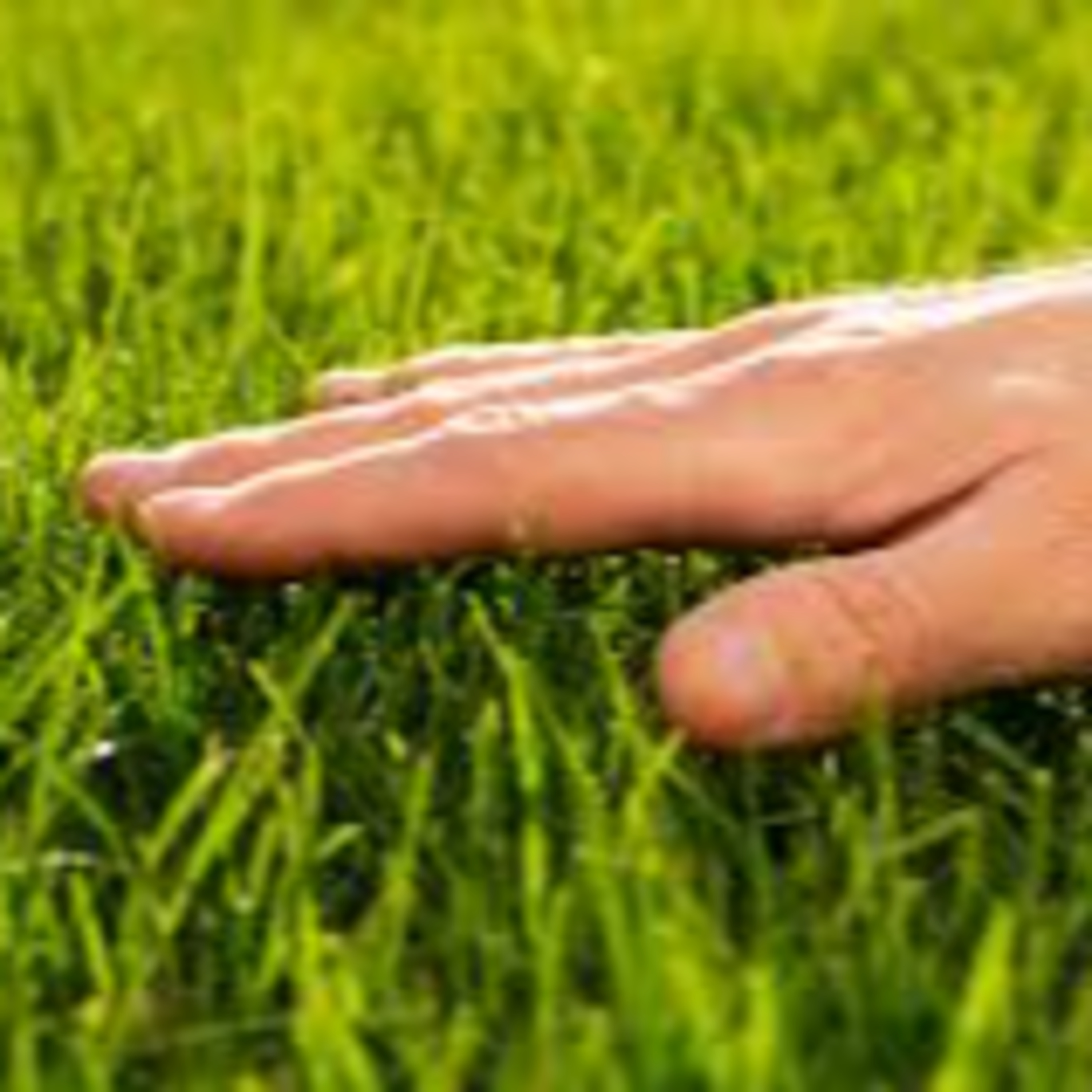 The Anarchodox Podcast