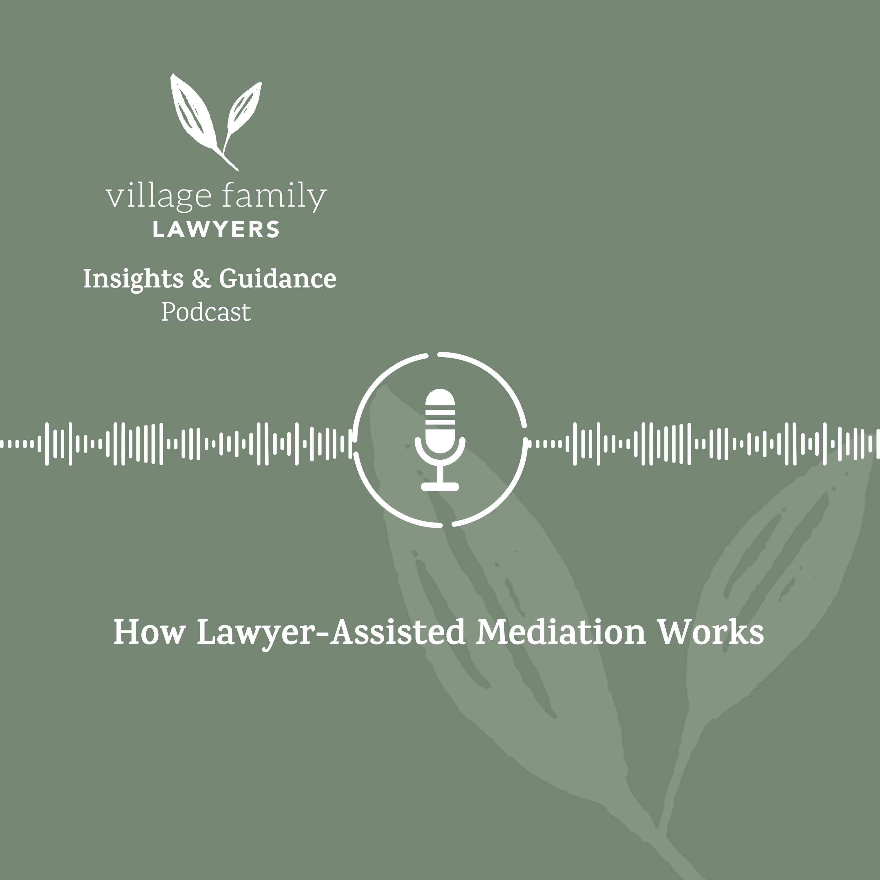 How Lawyer-Assisted Mediation Works | Divorce, Parenting & Property episode artwork