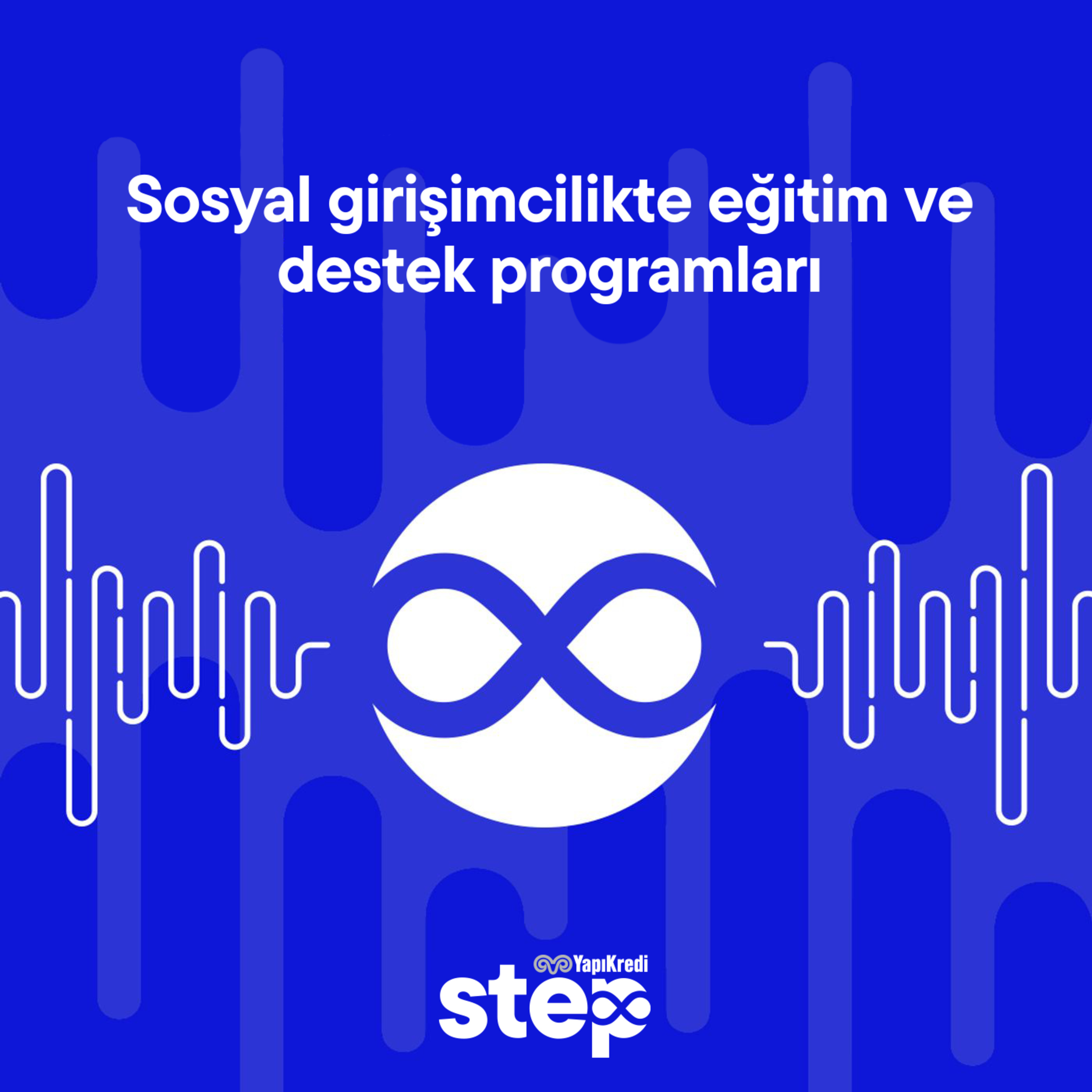 Sosyal girişimcilikte eğitim ve destek programları
