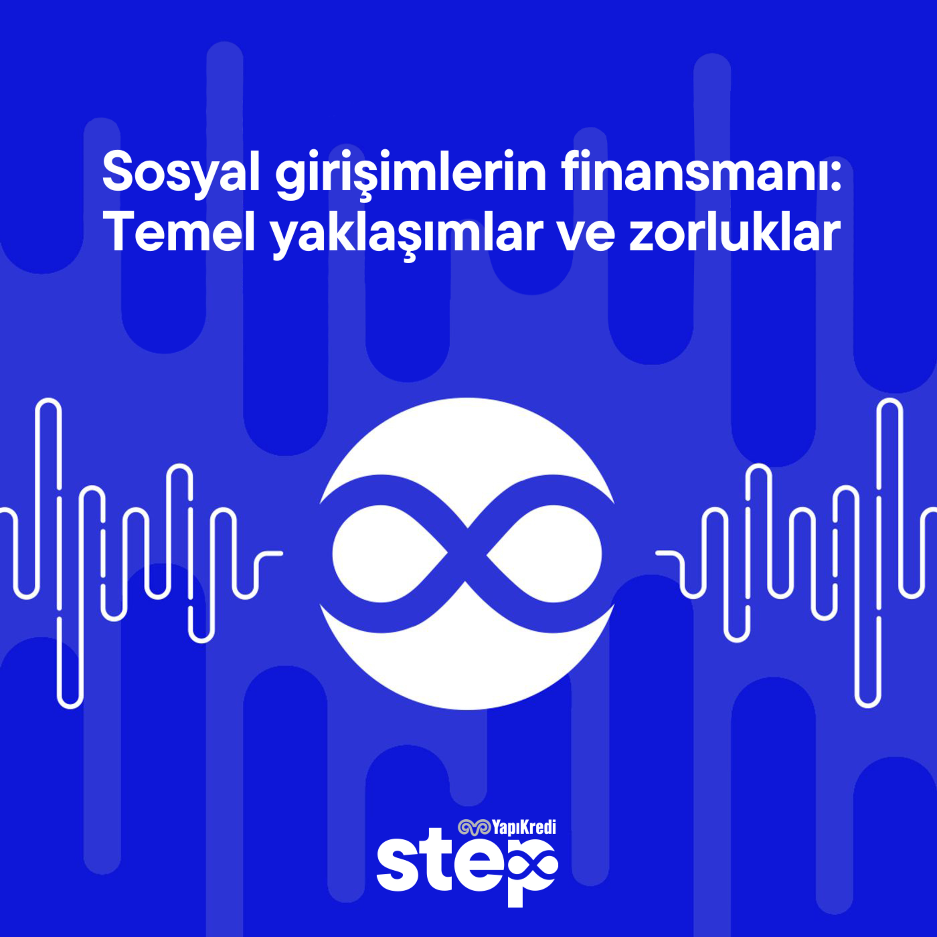 Sosyal girişimlerin finansmanı: Temel yaklaşımlar ve zorluklar
