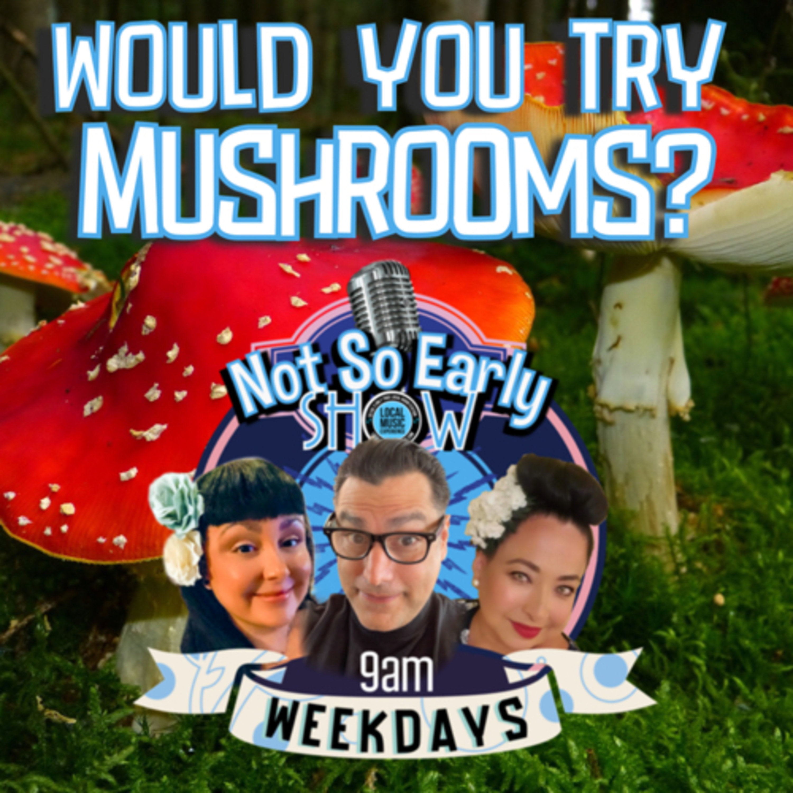 Would you try mushrooms? episode artwork