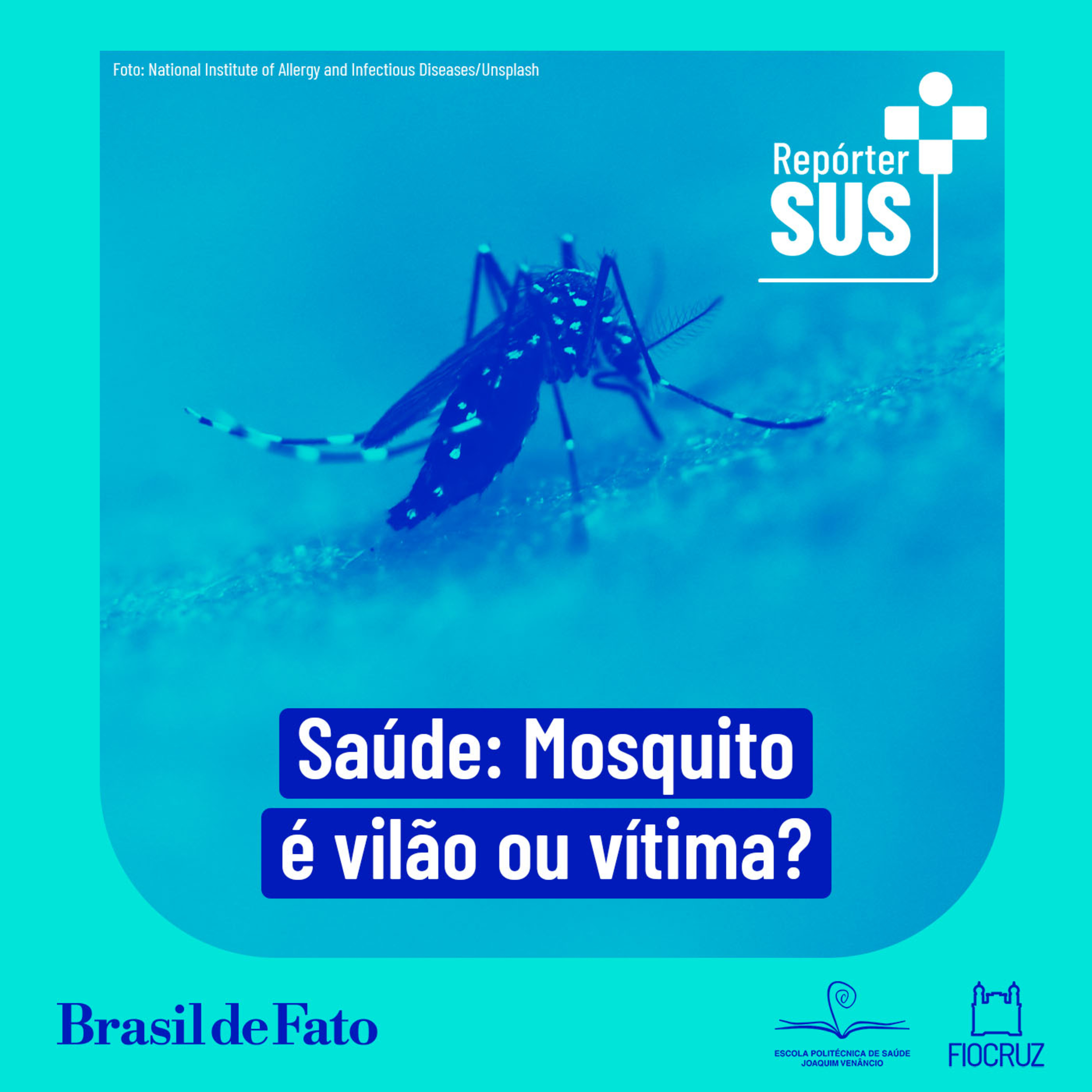 Dia do Mosquito: vetor de doenças é inimigo ou vítima das mudanças climáticas? episode artwork