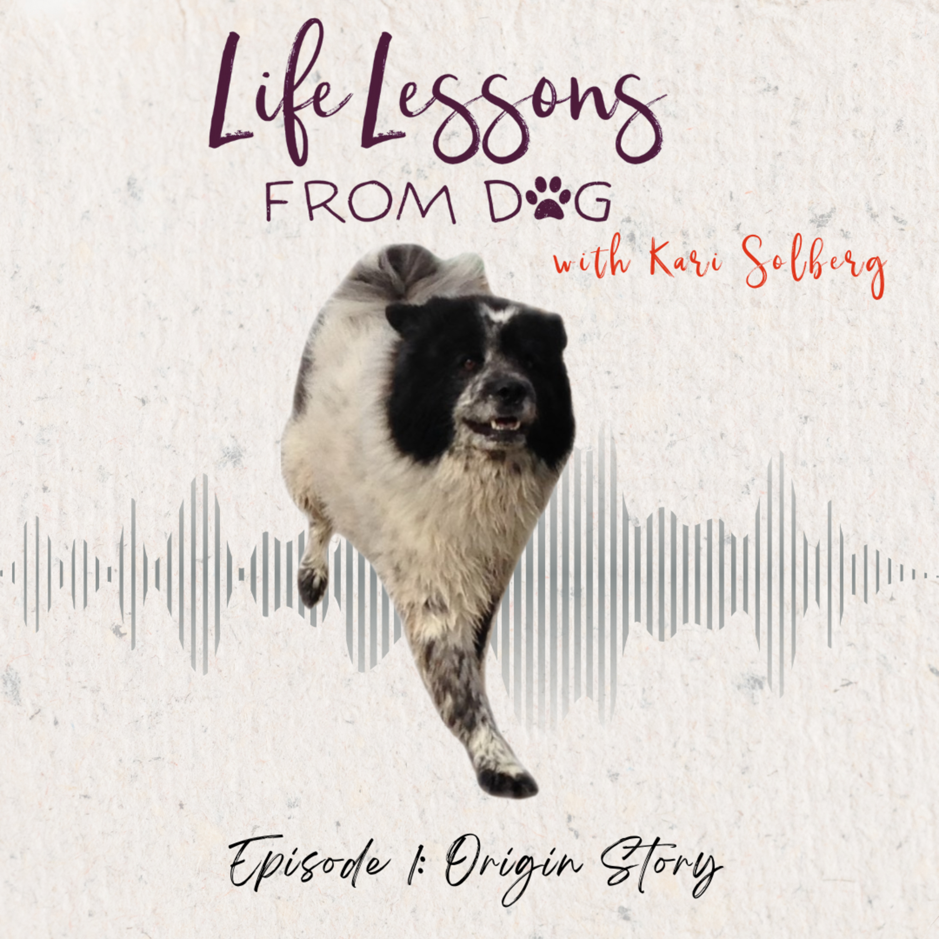 Origin Story: One Dog, One Lesson, One Life Changed episode artwork