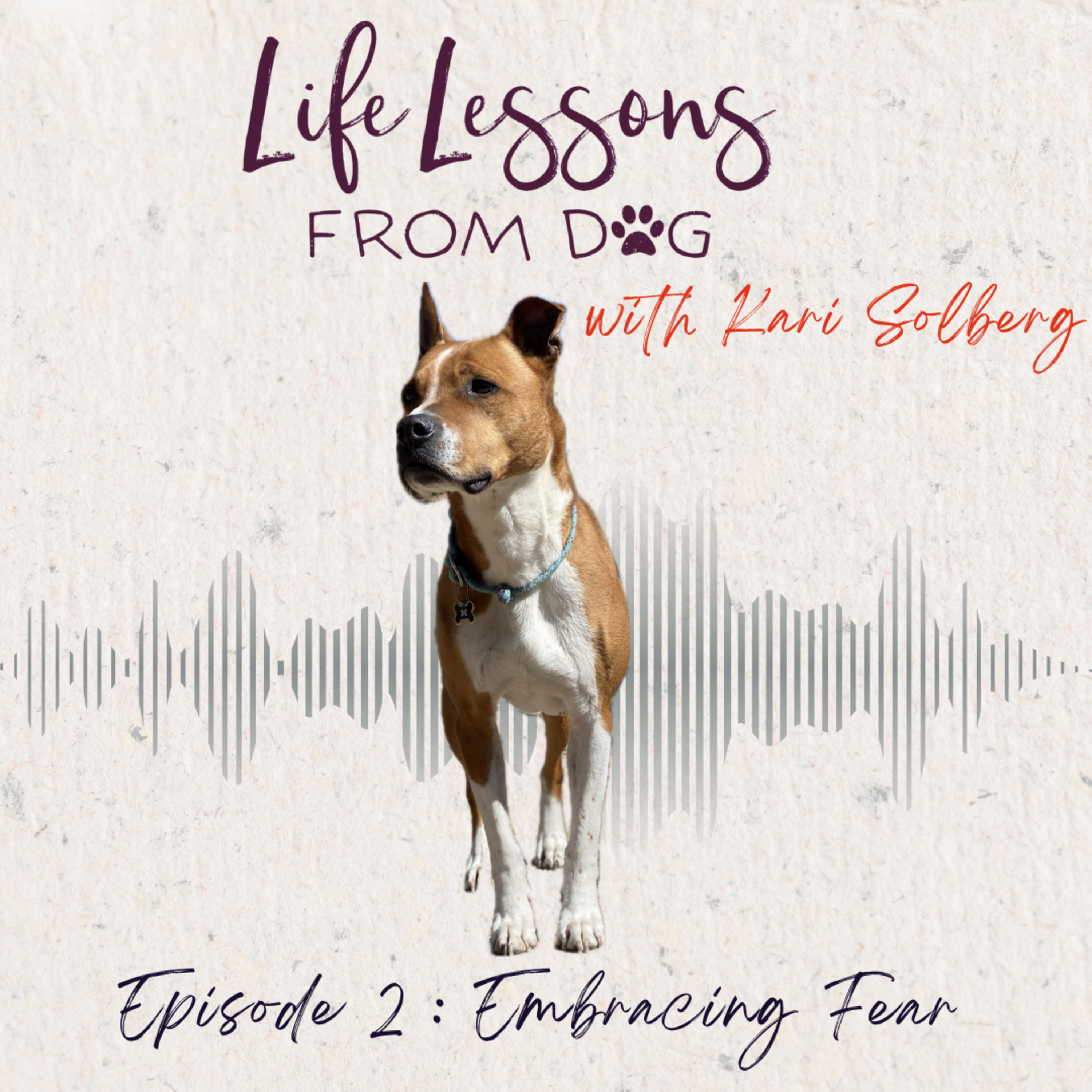 Embracing Fear: Learning to Lead, One Step at a Time episode artwork