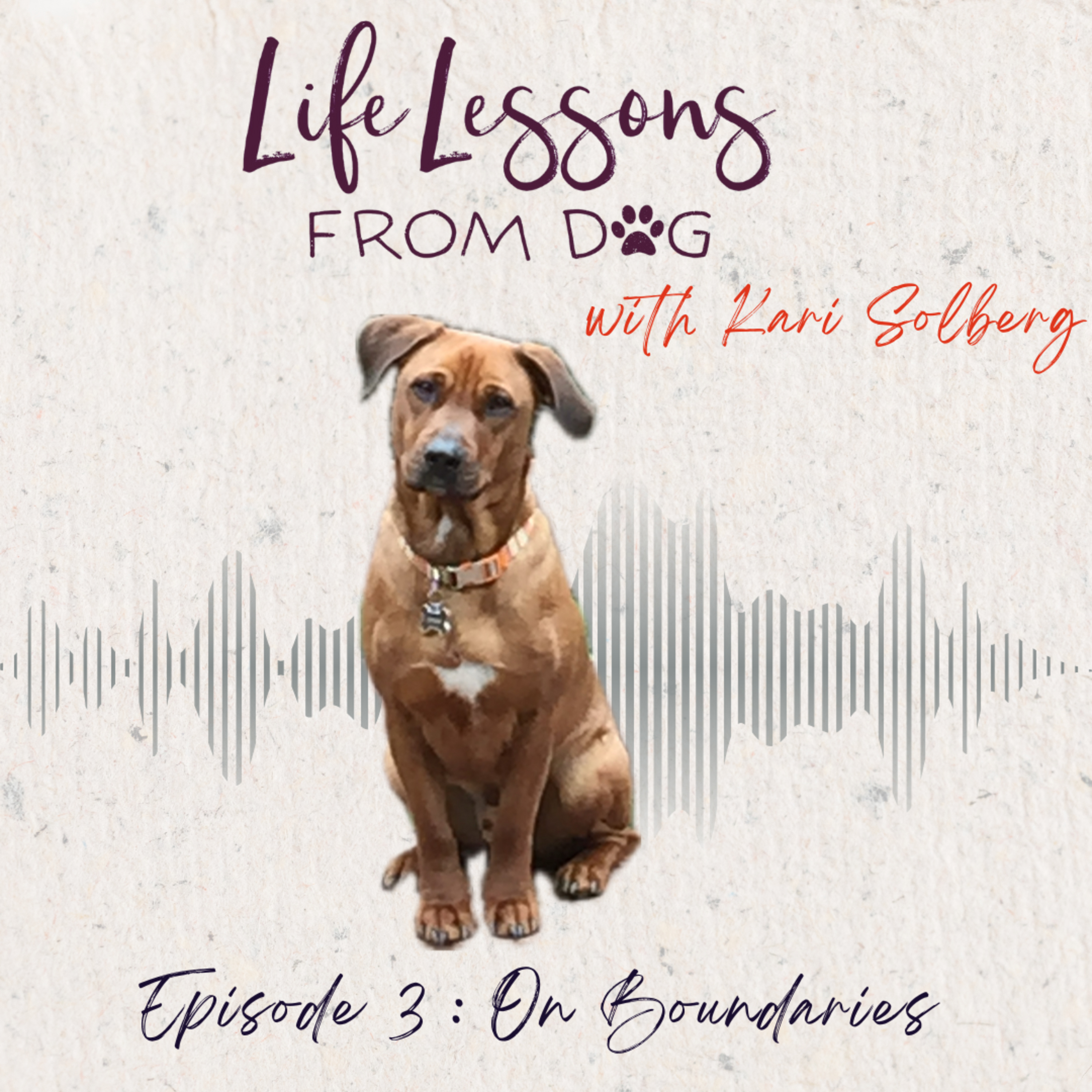 On Boundaries: Protecting Your Space, Finding Your Strength episode artwork