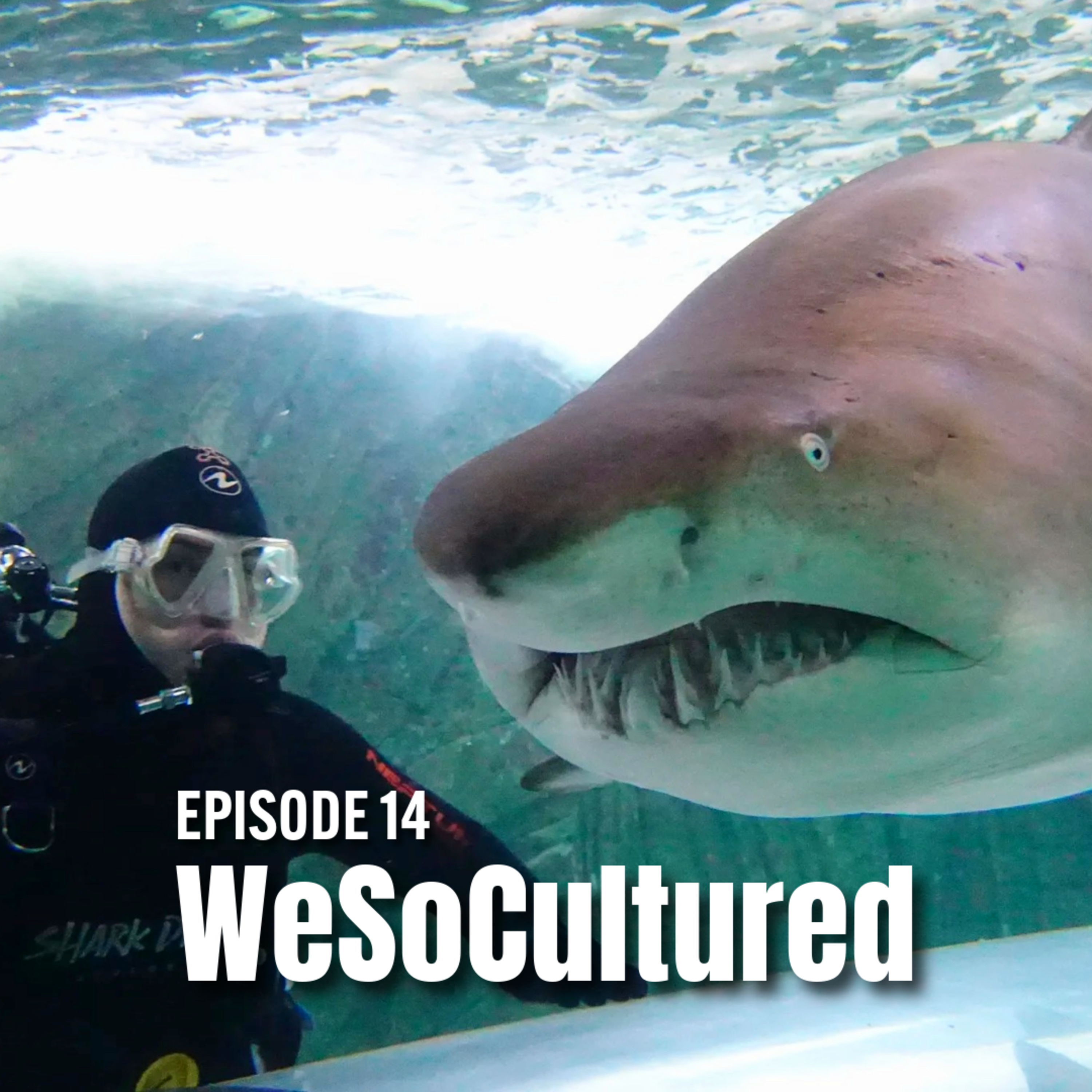 The WeSoCultured Podcast