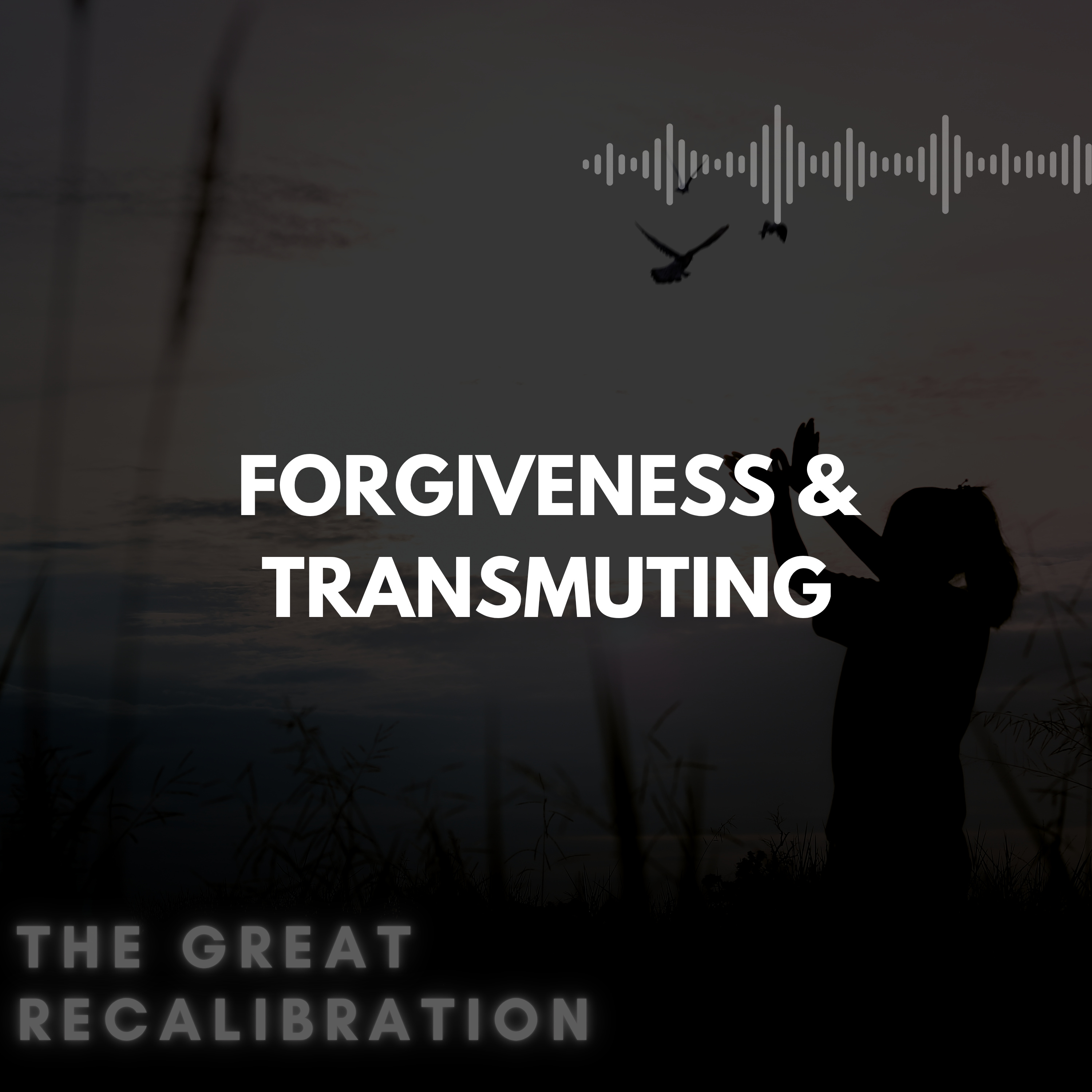9. Forgiveness & Transmuting episode artwork