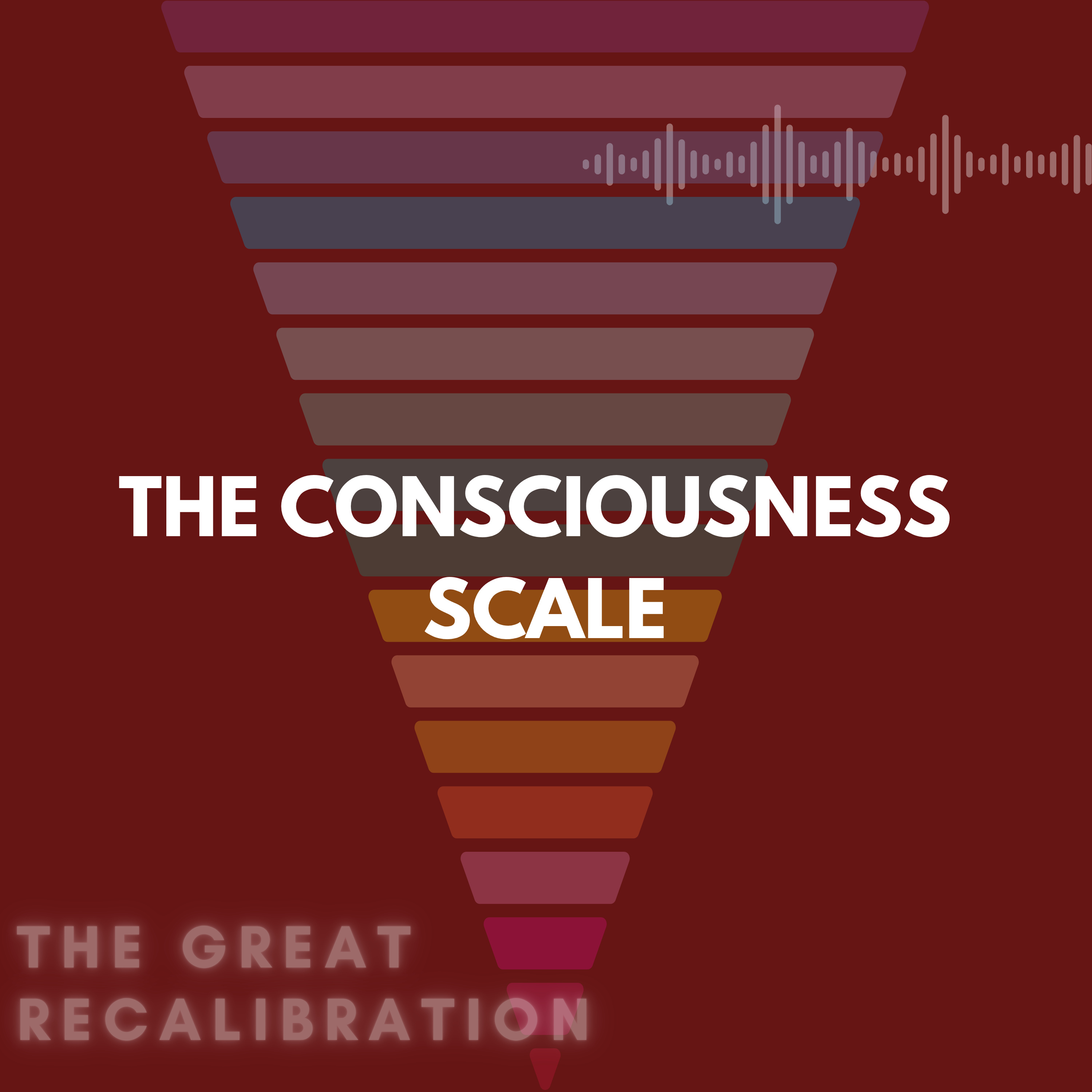 4. The Consciousness Scale episode artwork