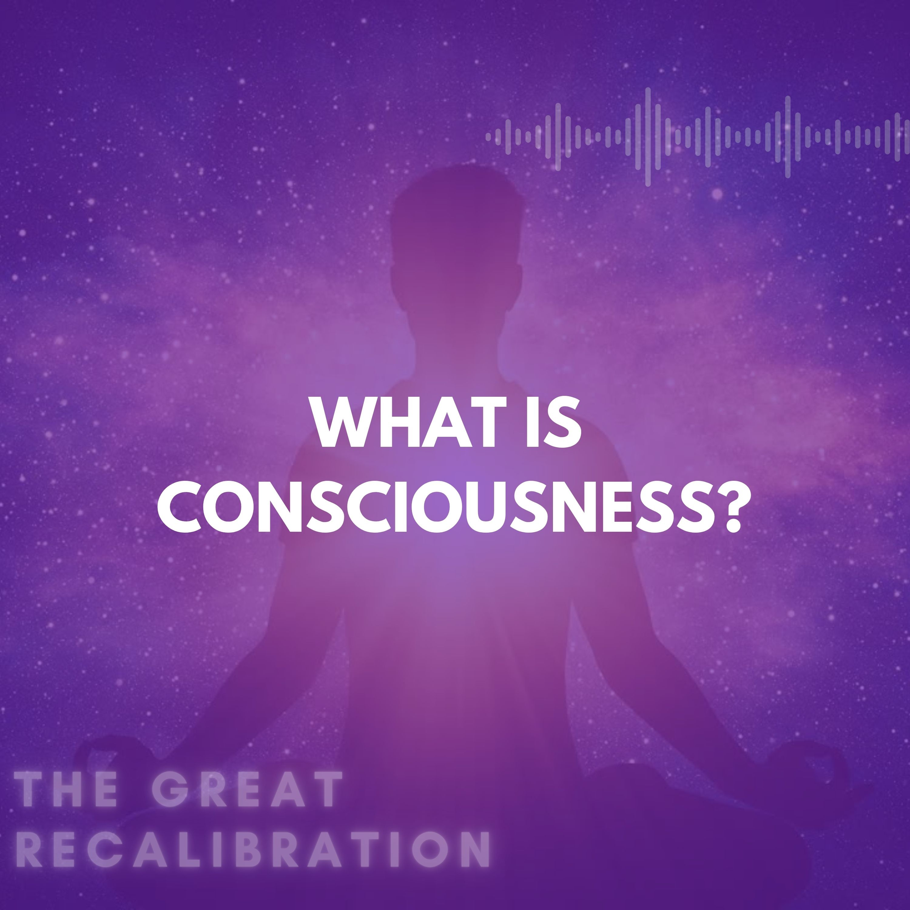 2. What is Consciousness? episode artwork