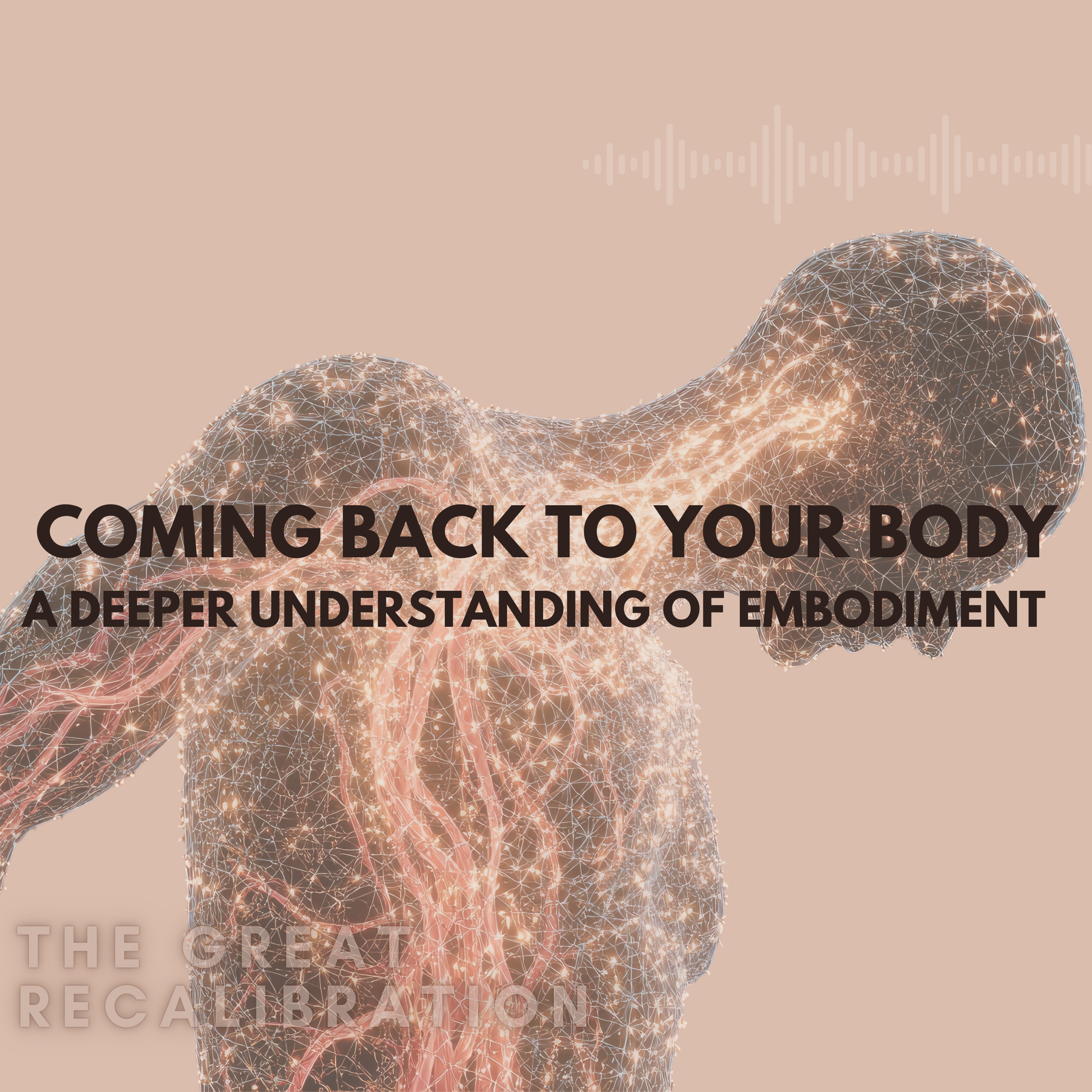 26. Coming Back to Your Body: A Deeper Understanding of Embodiment episode artwork