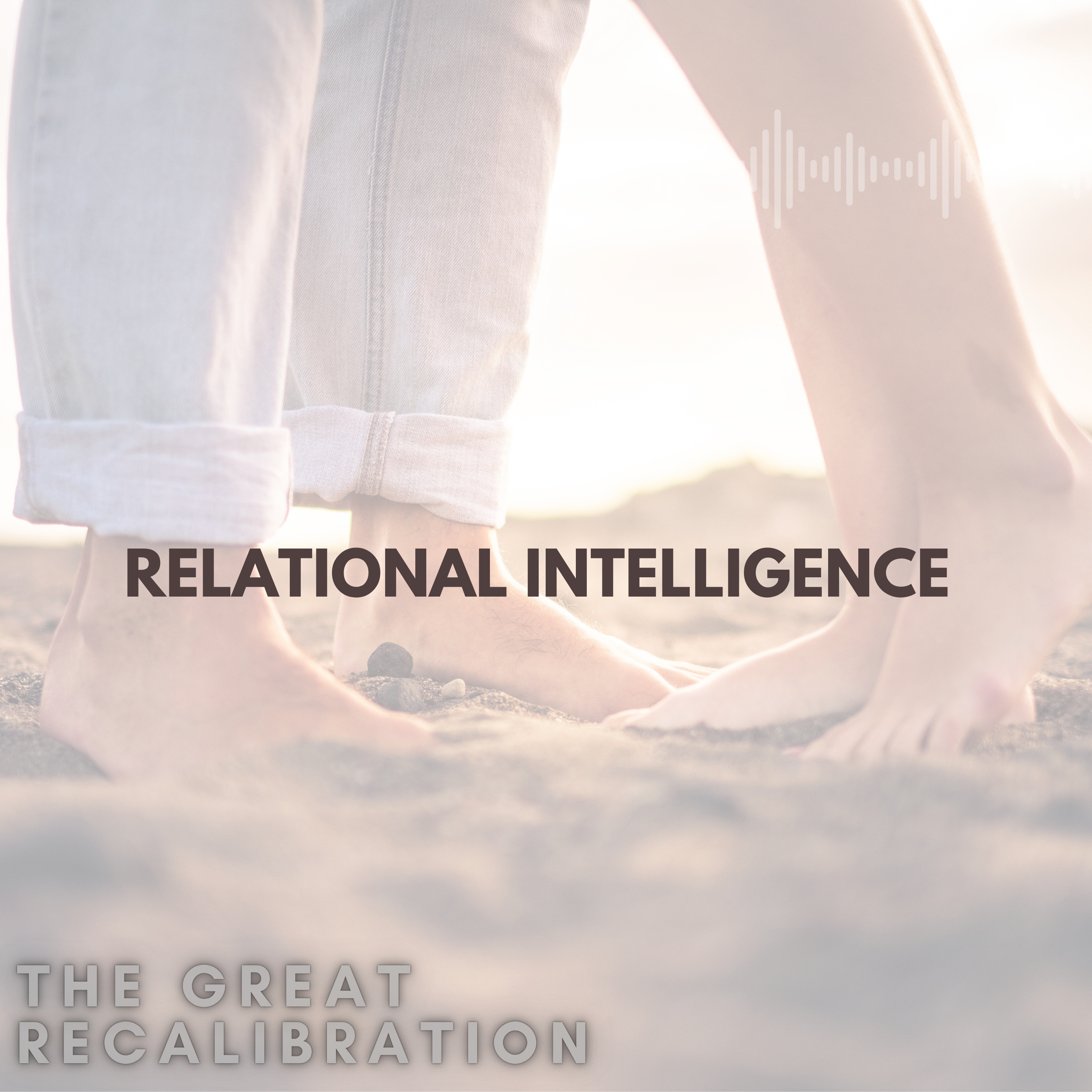 42. Relational Intelligence episode artwork