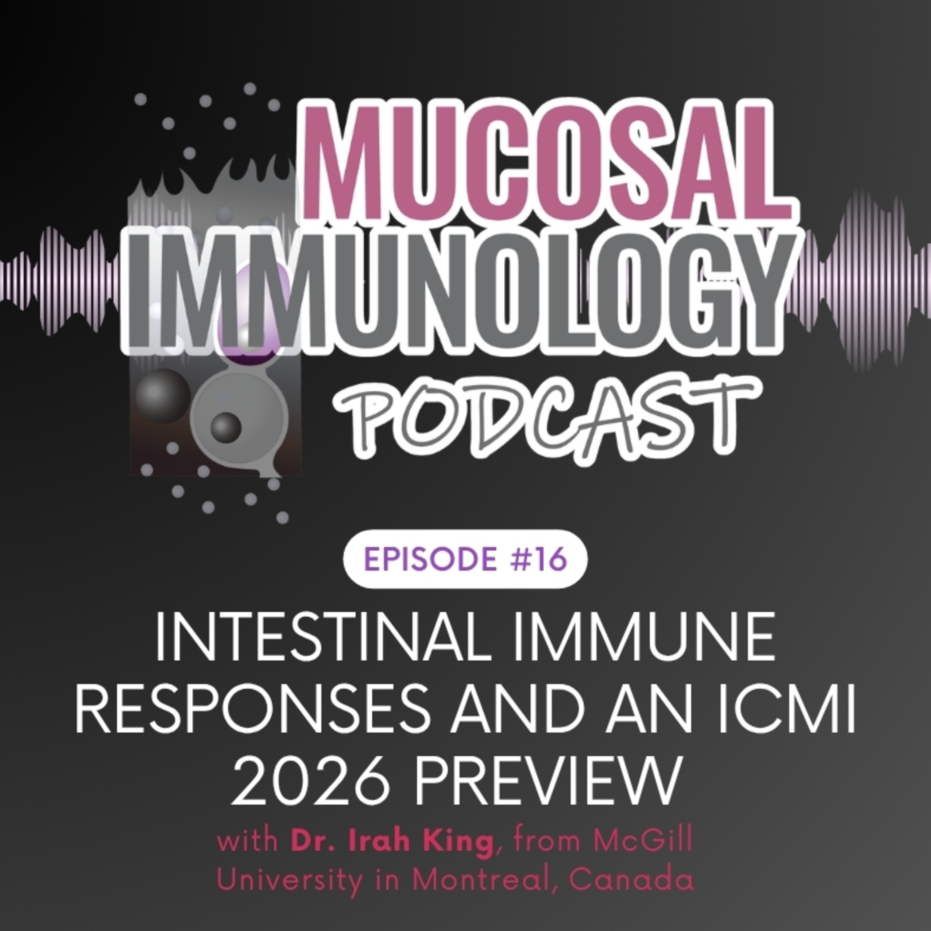 Intestinal Immune Responses and an ICMI 2026 Preview episode artwork