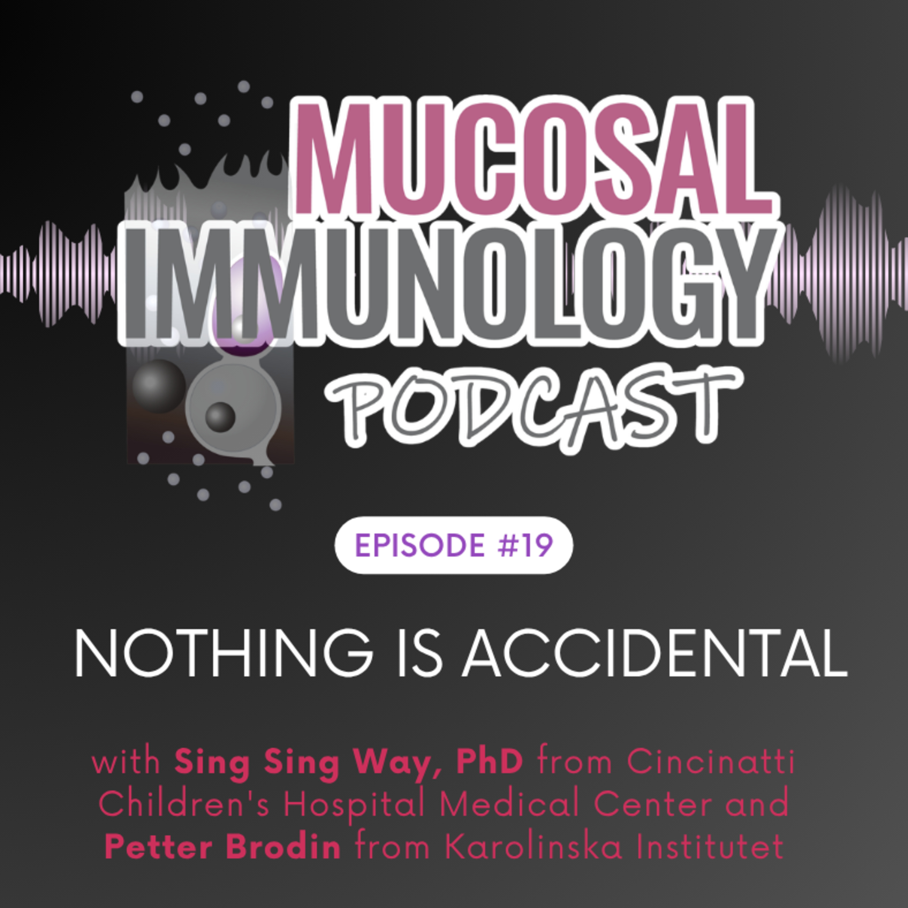 ICMI, “Nothing is Accidental”