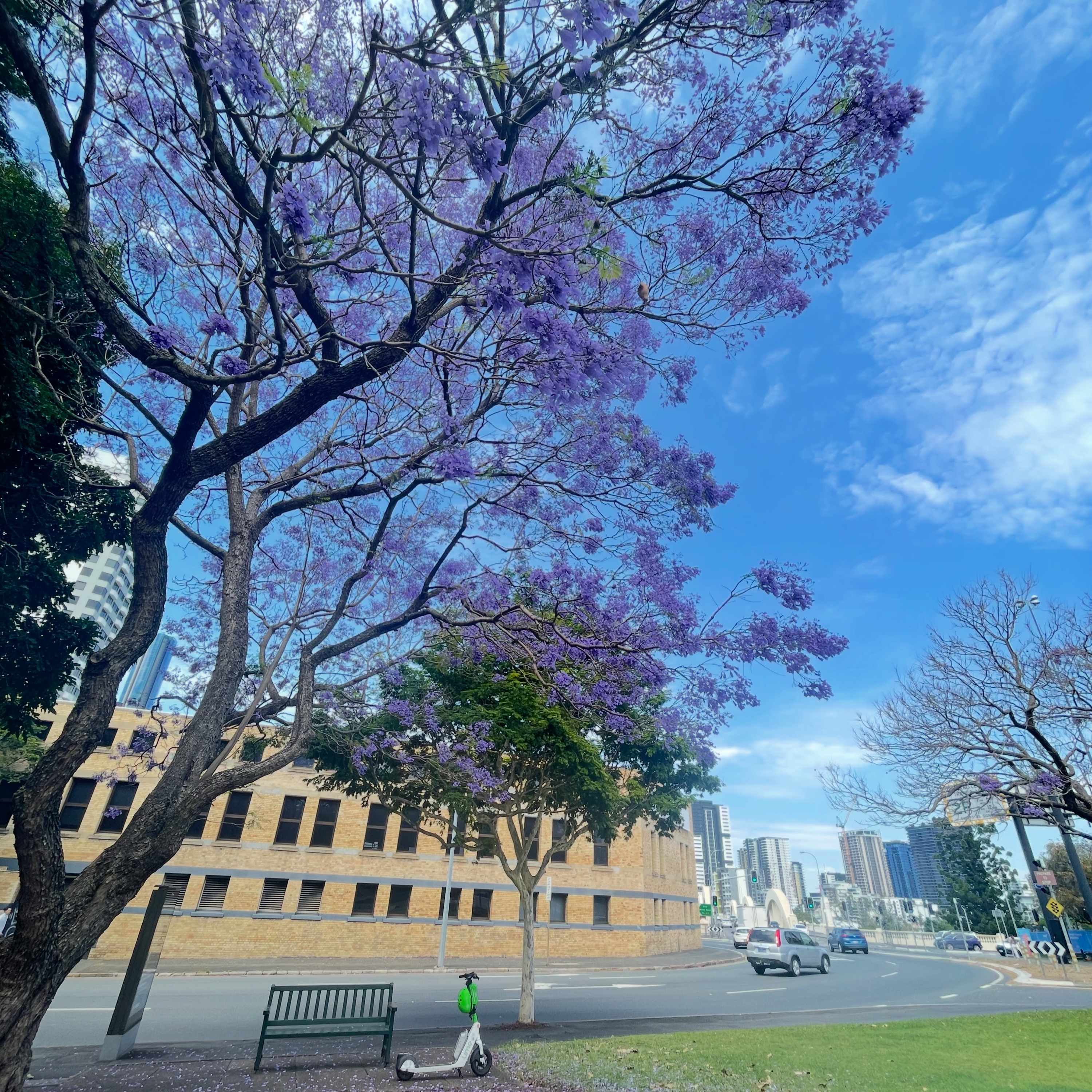 03：Barely Surviving in Australia – Part 1（ギリギリ生きてる in 🇦🇺） episode artwork