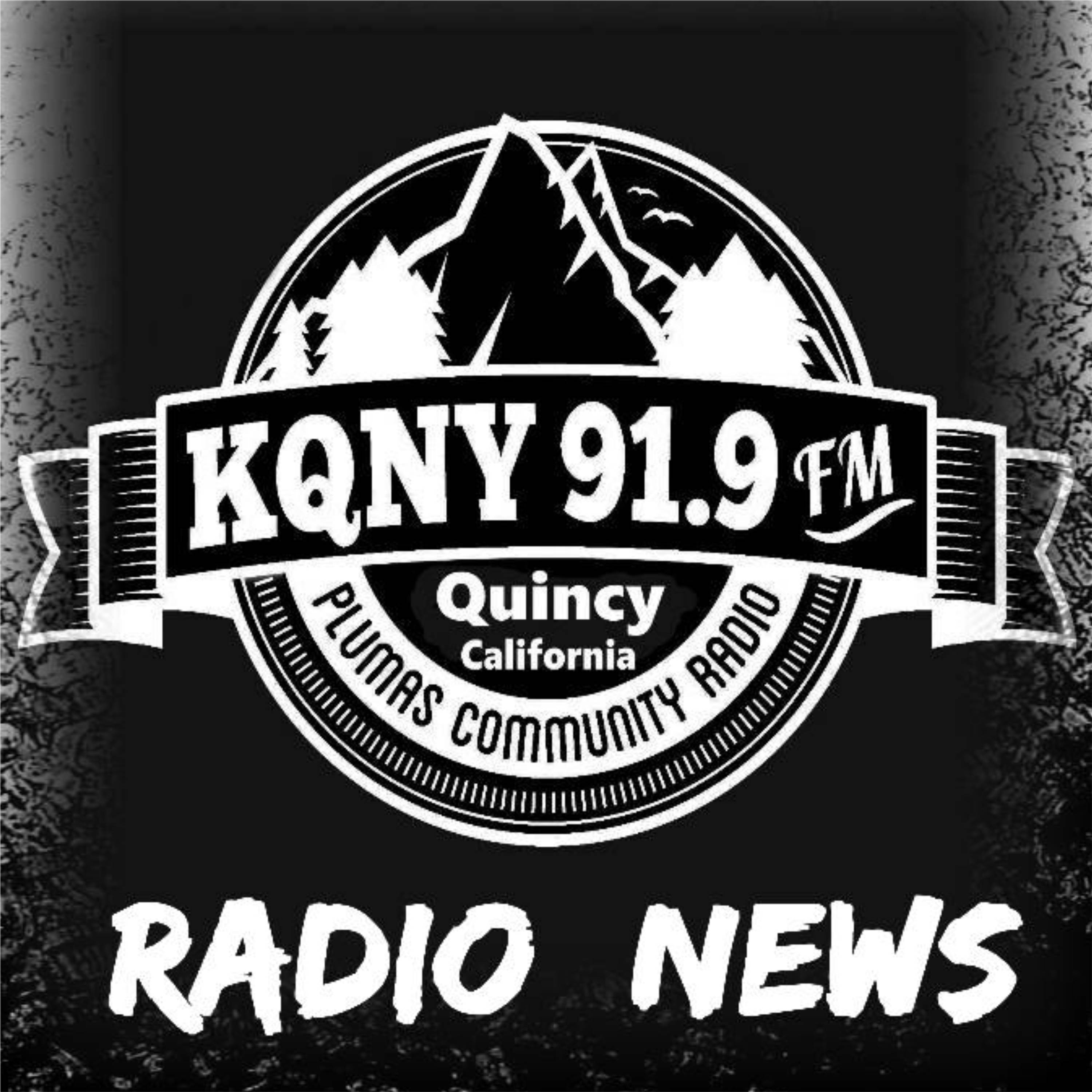 Primary election unnoficial results.