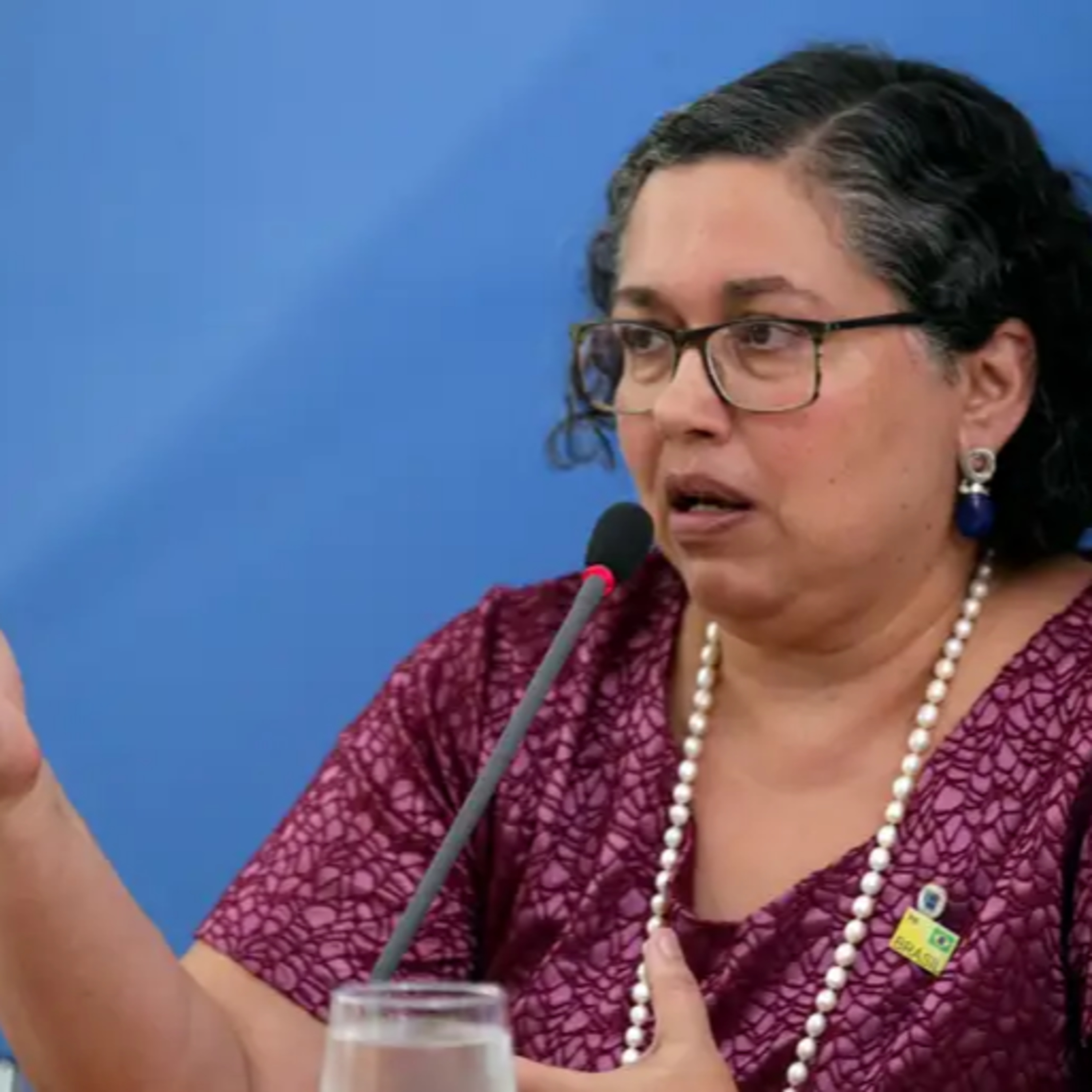 Suely Araújo: 'Petrobras é mais responsável por demora na autorização do que Ibama' episode artwork