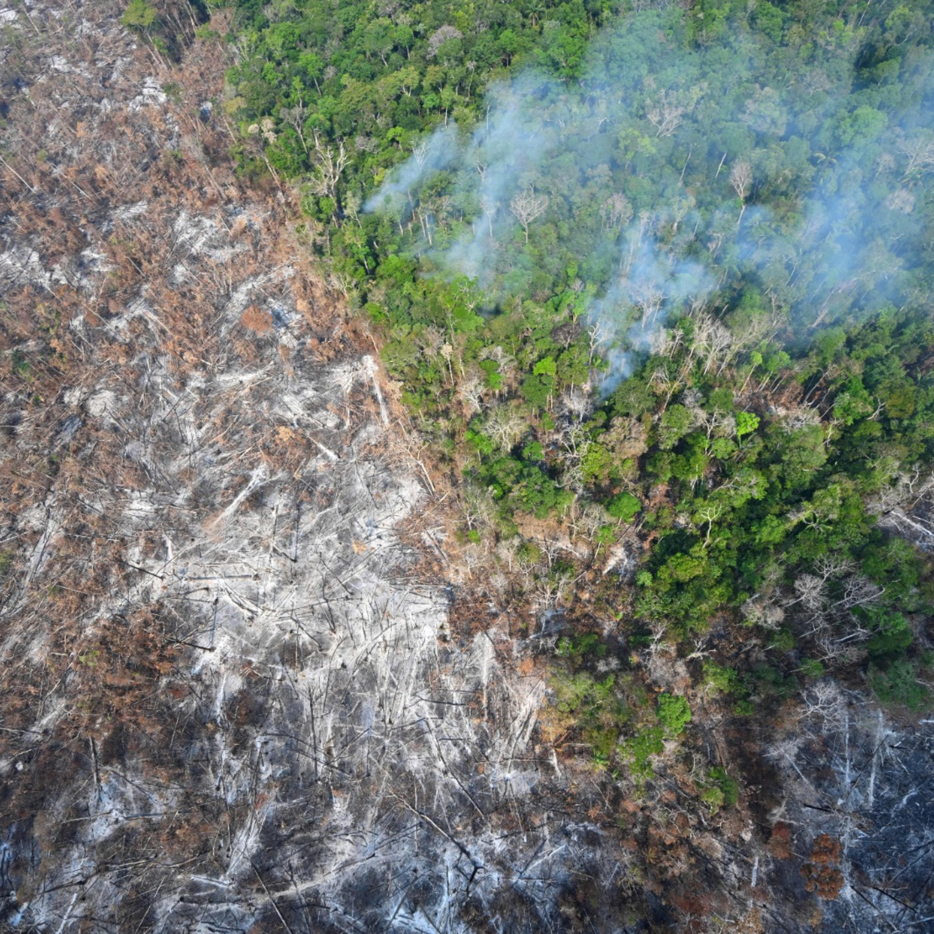 Amacro: a região da Amazônia que virou epicentro do desmatamento no país