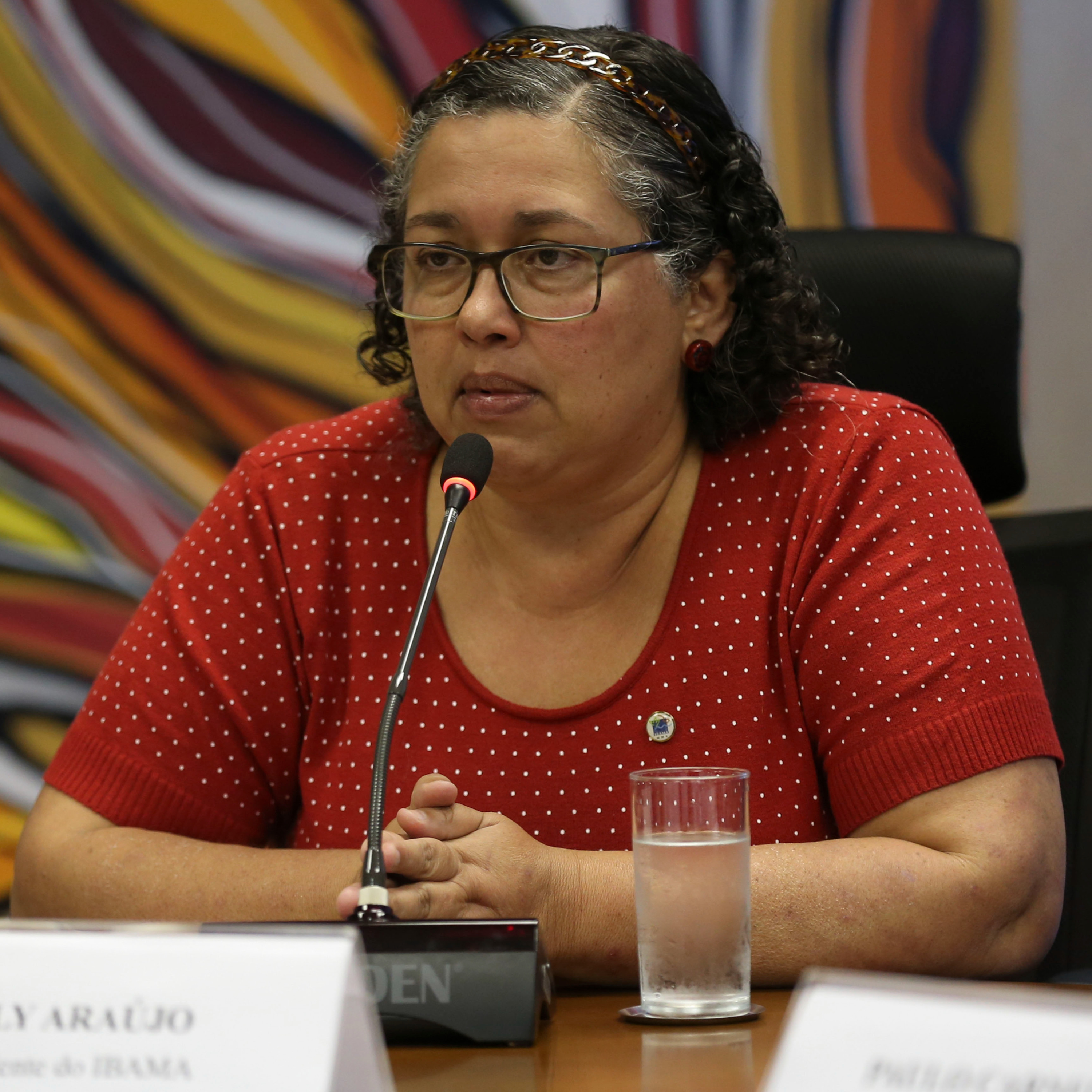 Suely Araújo: liberar Foz do Amazonas é abrir a porteira do petróleo da região episode artwork