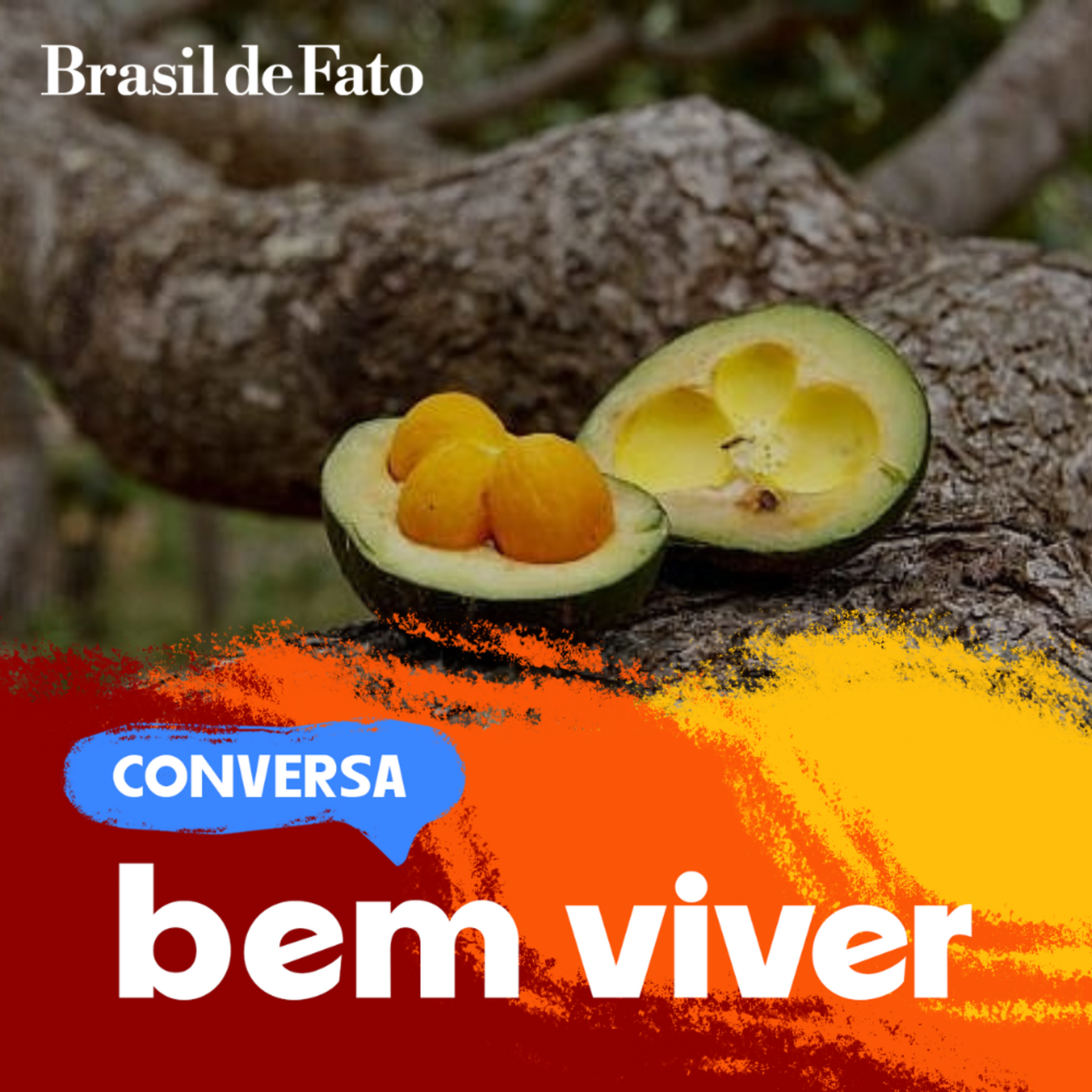 Neocolonialismo na culinária do Cerrado