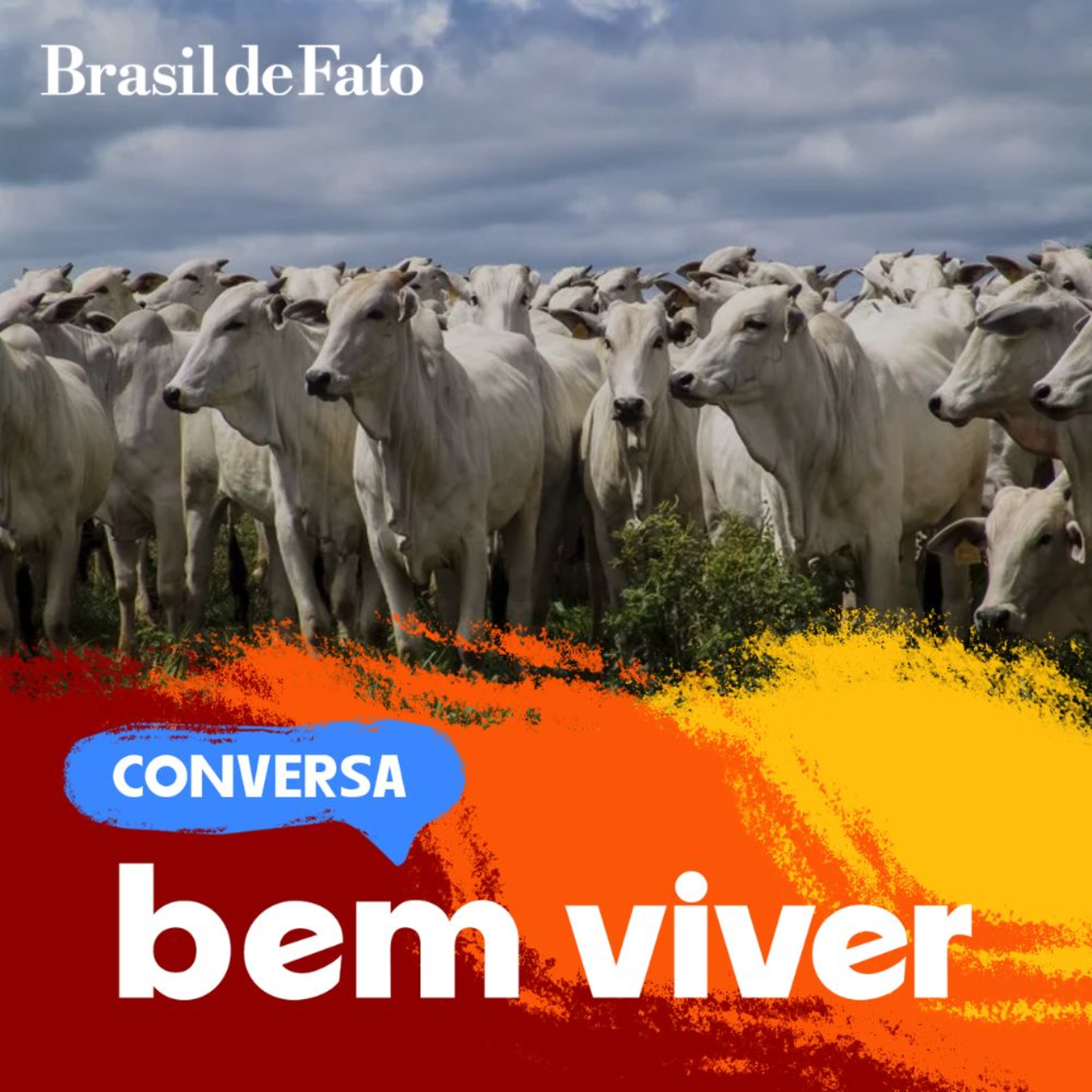 O que os frigoríficos escondem sobre o desmatamento episode artwork