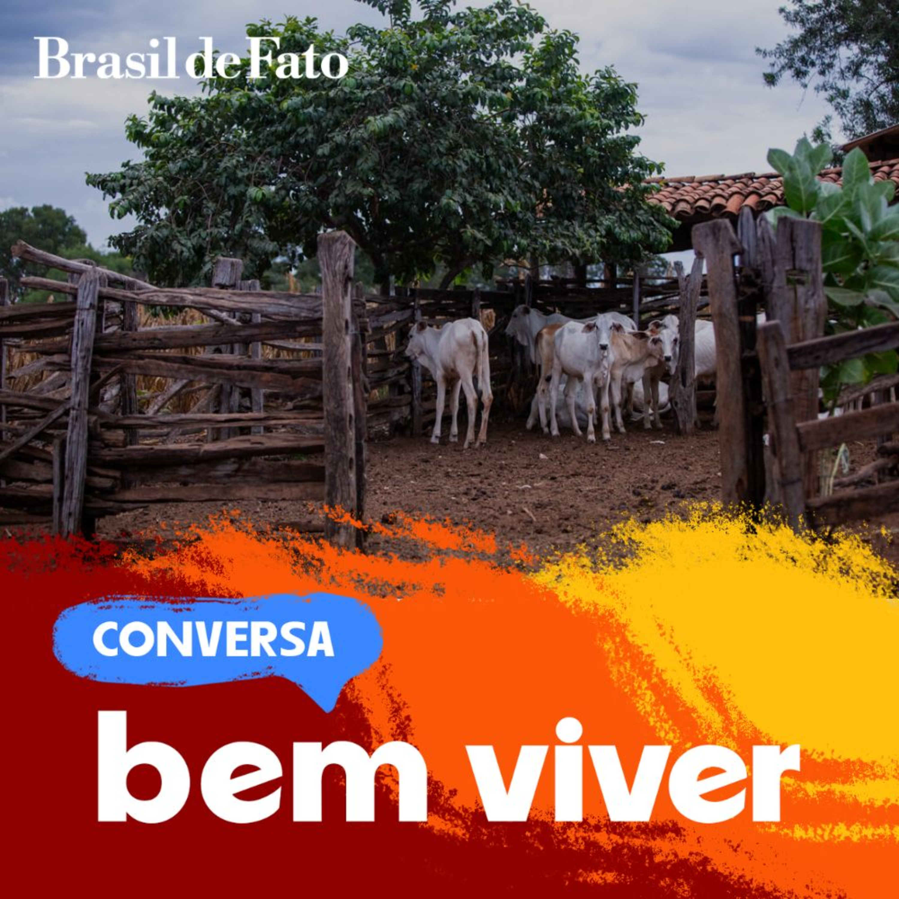 Saberes do Cerrado chegam às salas de aula da Bahia episode artwork