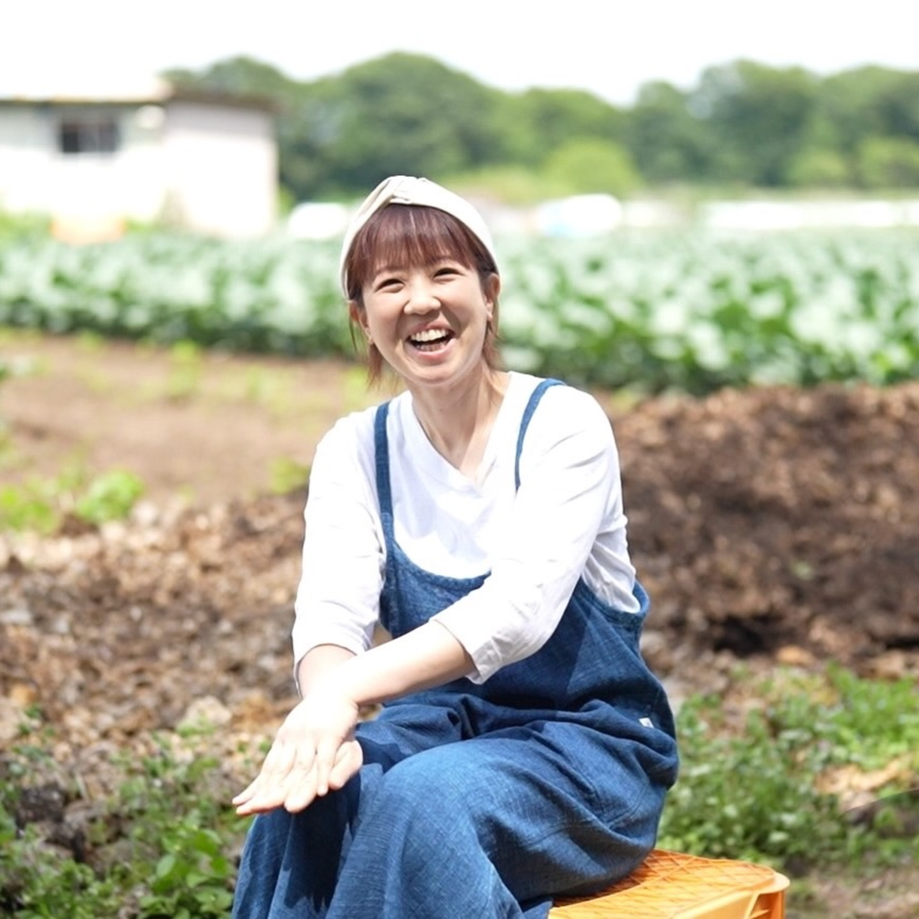 #388丸山綾｜たゆたうマルハナバチ episode artwork