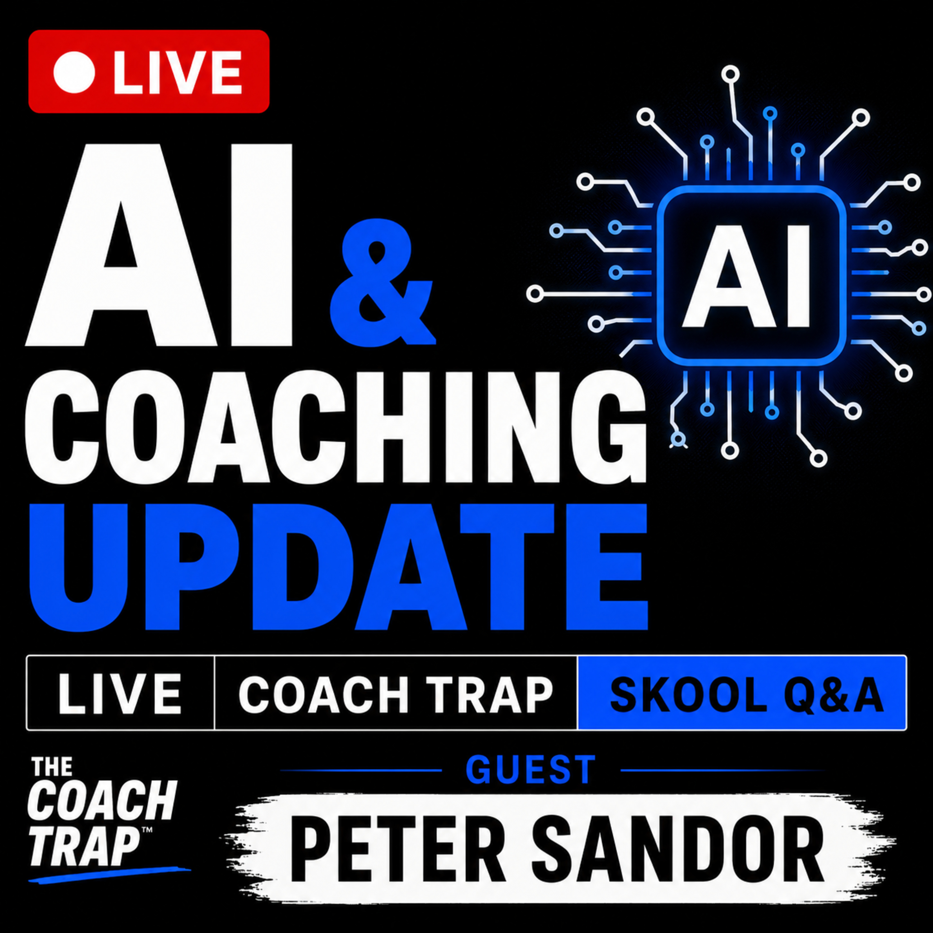 Can AI Replace Coaches? with Peter Sandor episode artwork
