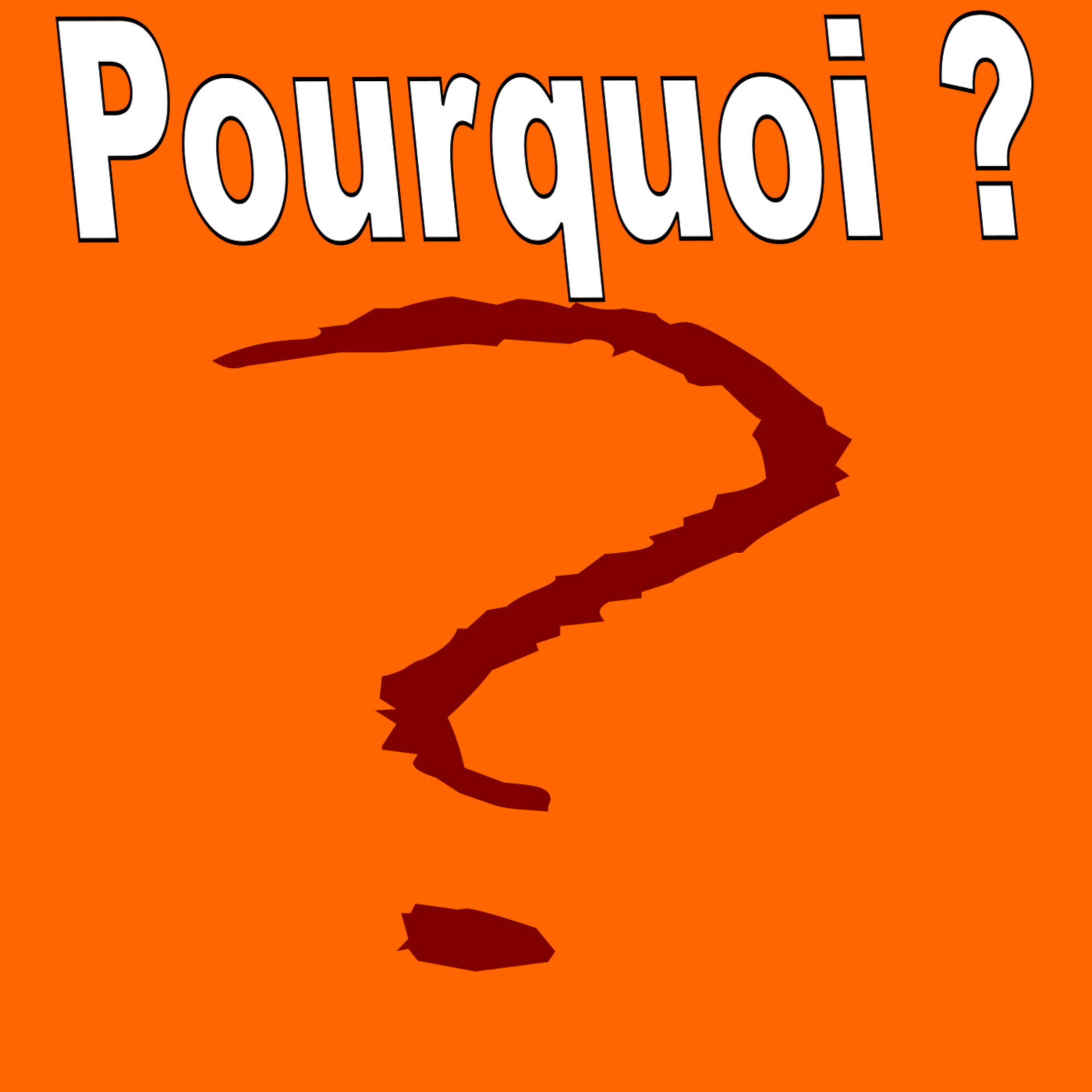 #16 [sur le pouce] Pourquoi toutes ces théories managériales ?