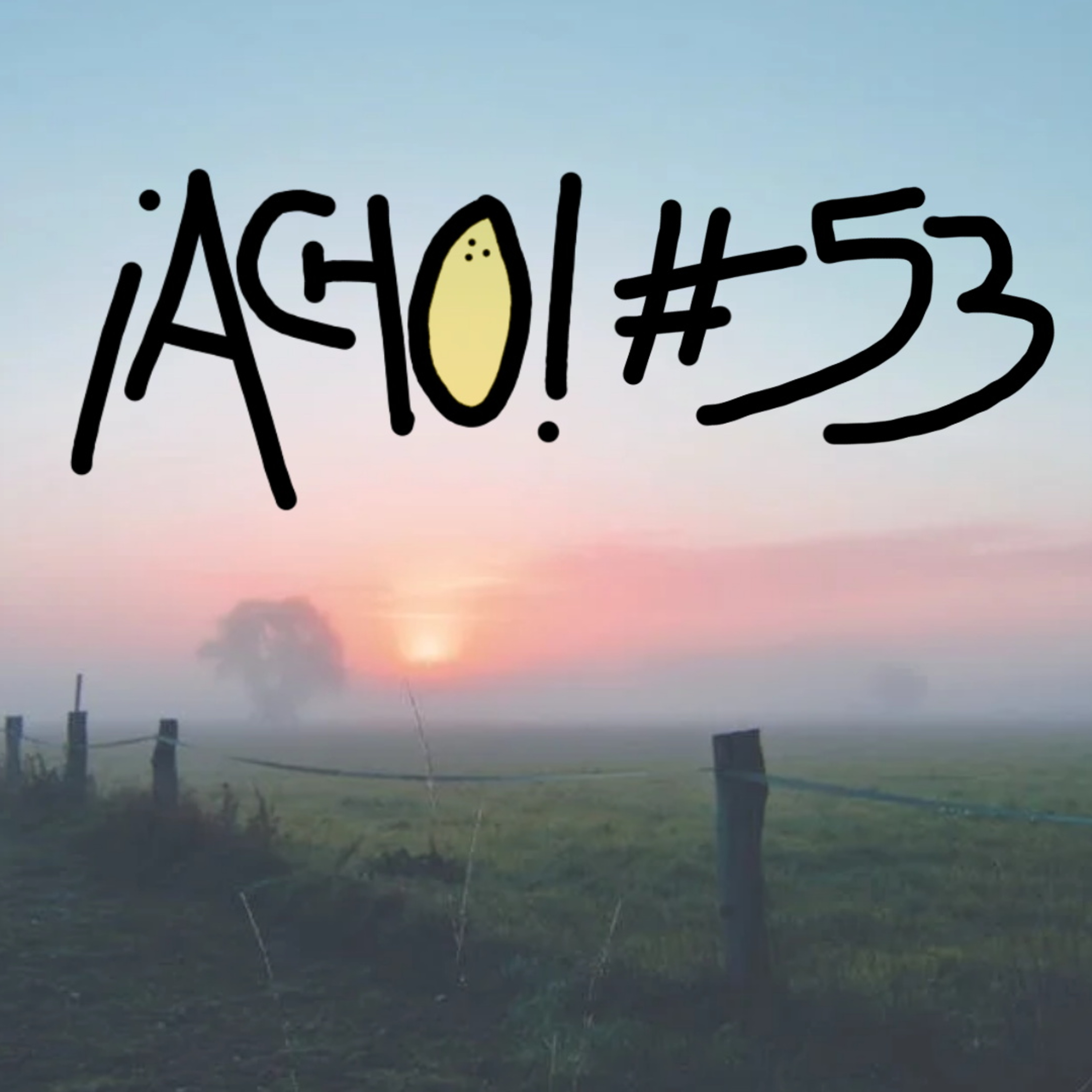 ¡ACHO!