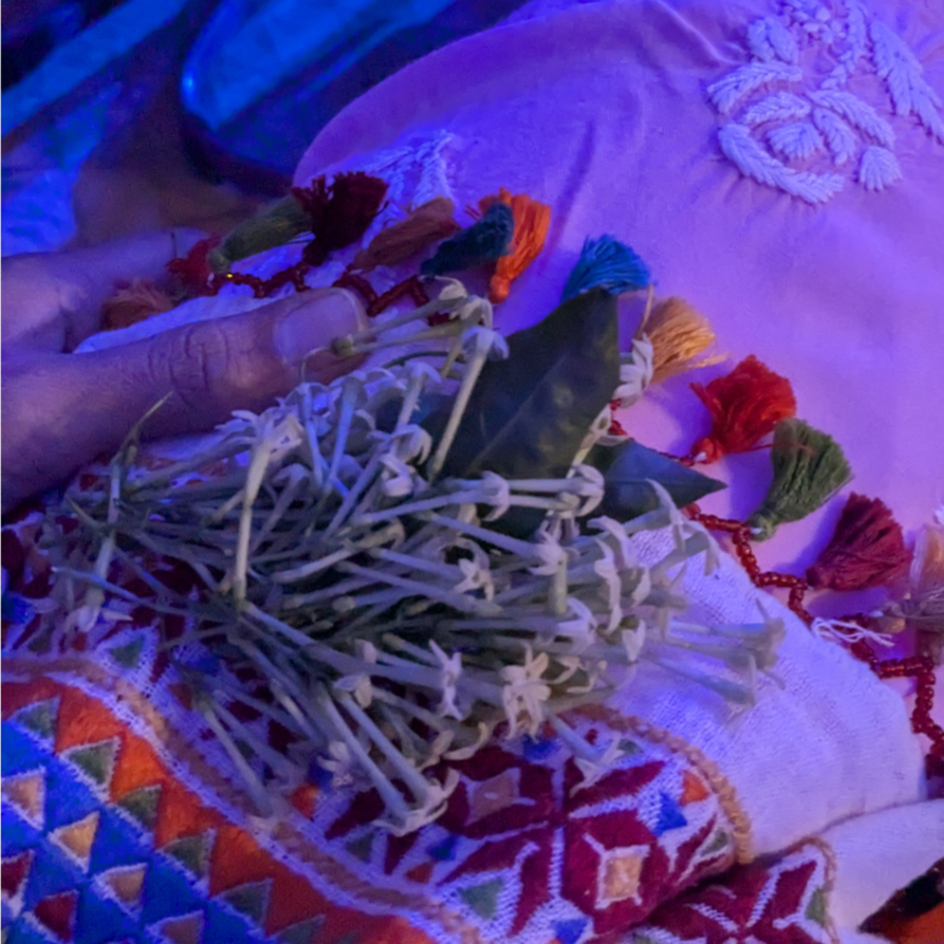 Jahnvi Rupareliya