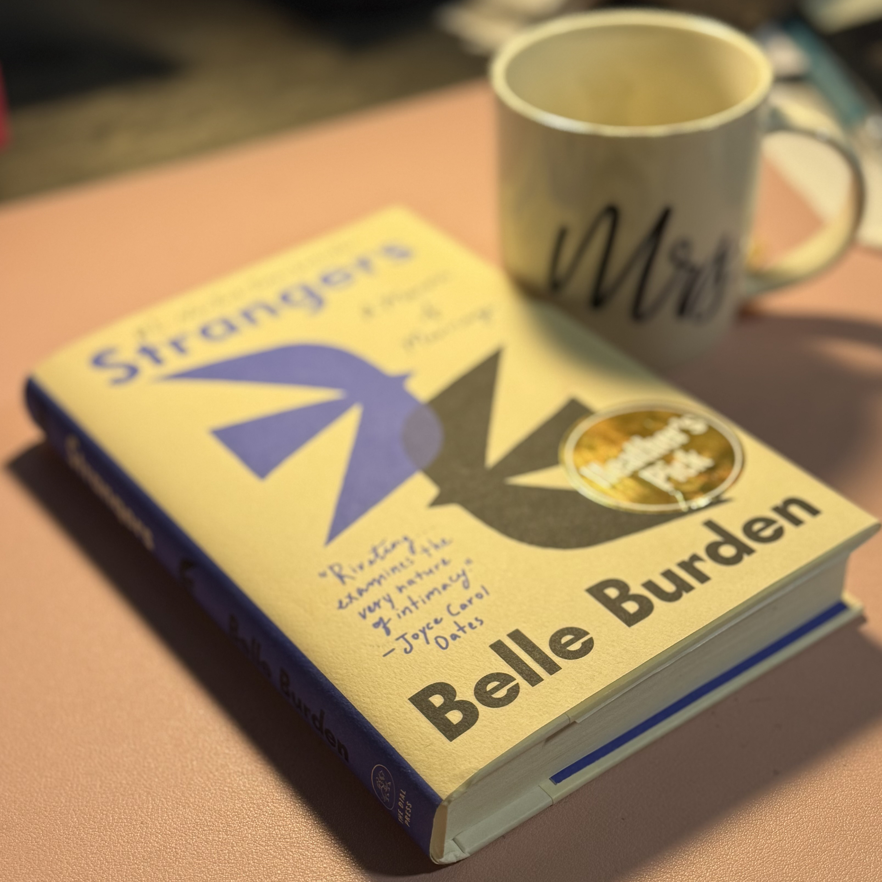  Divorce, Money, and Rebuilding: What Strangers by Belle Burden Revealed to Me episode artwork