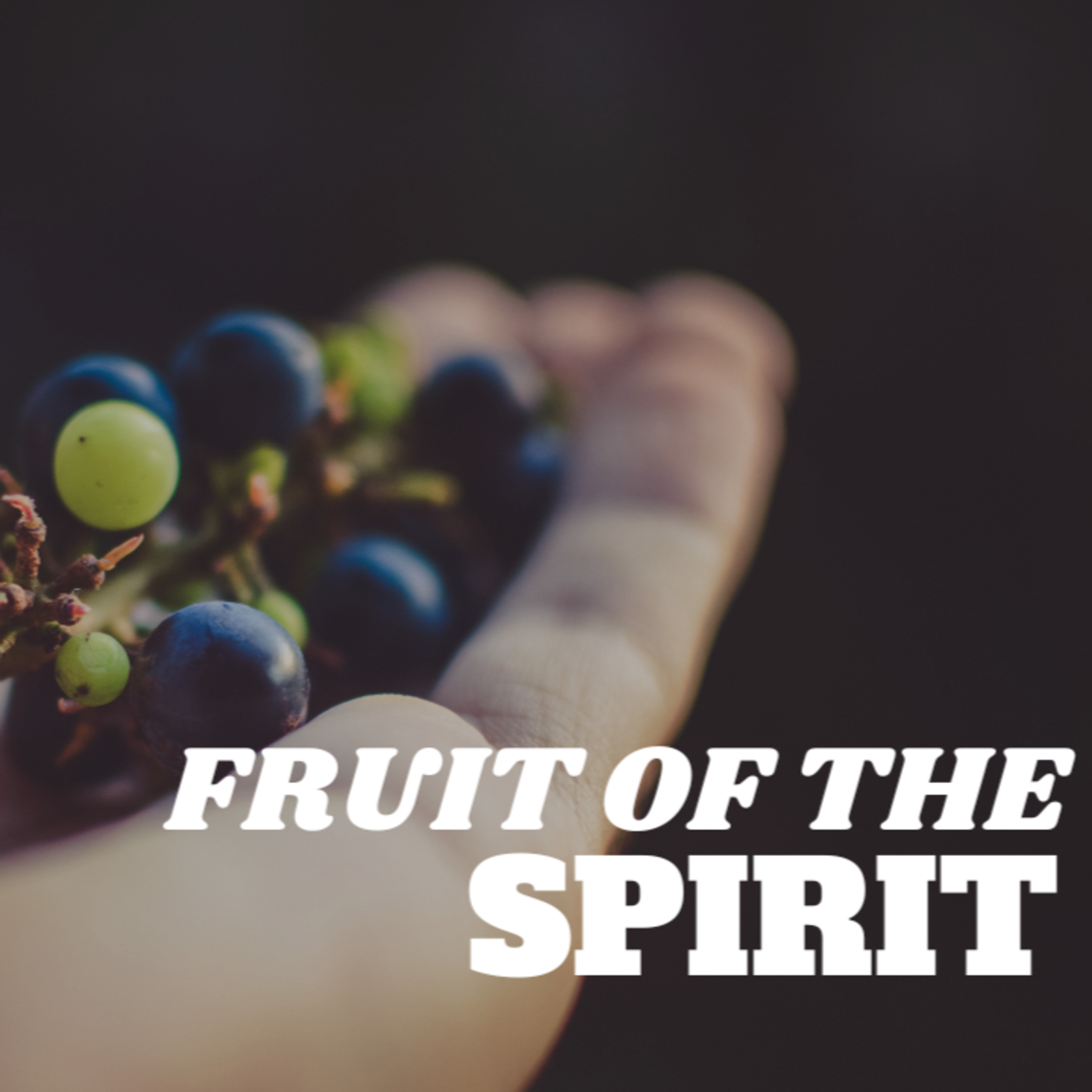 Fruit of The Spirit  episode artwork