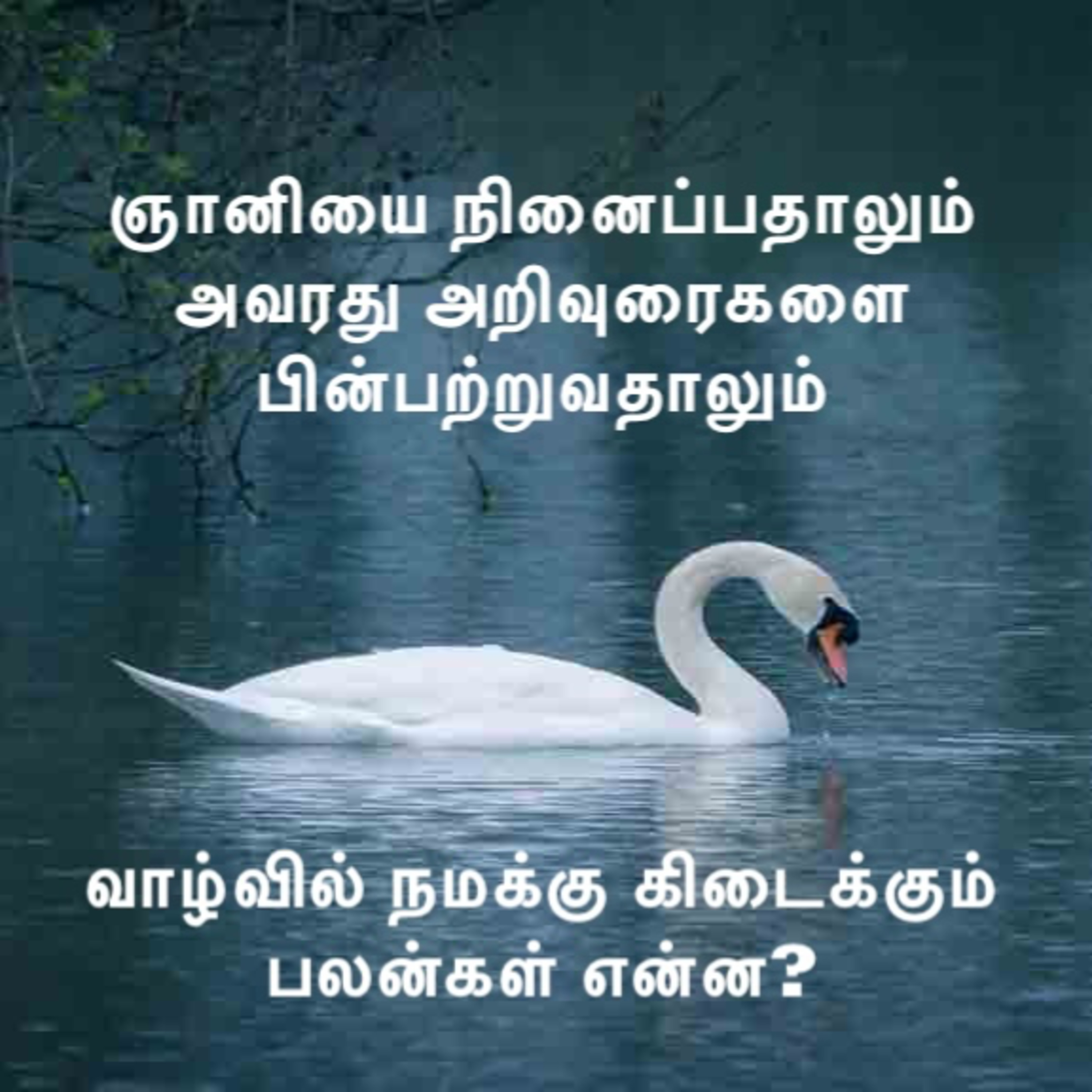 ஞானியை நினைப்பதாலும் அவரது அறிவுரைகளை பின்பற்றுவதாலும் வாழ்வில் நமக்கு கிடைக்கும் சில பலன்கள் என்ன? episode artwork