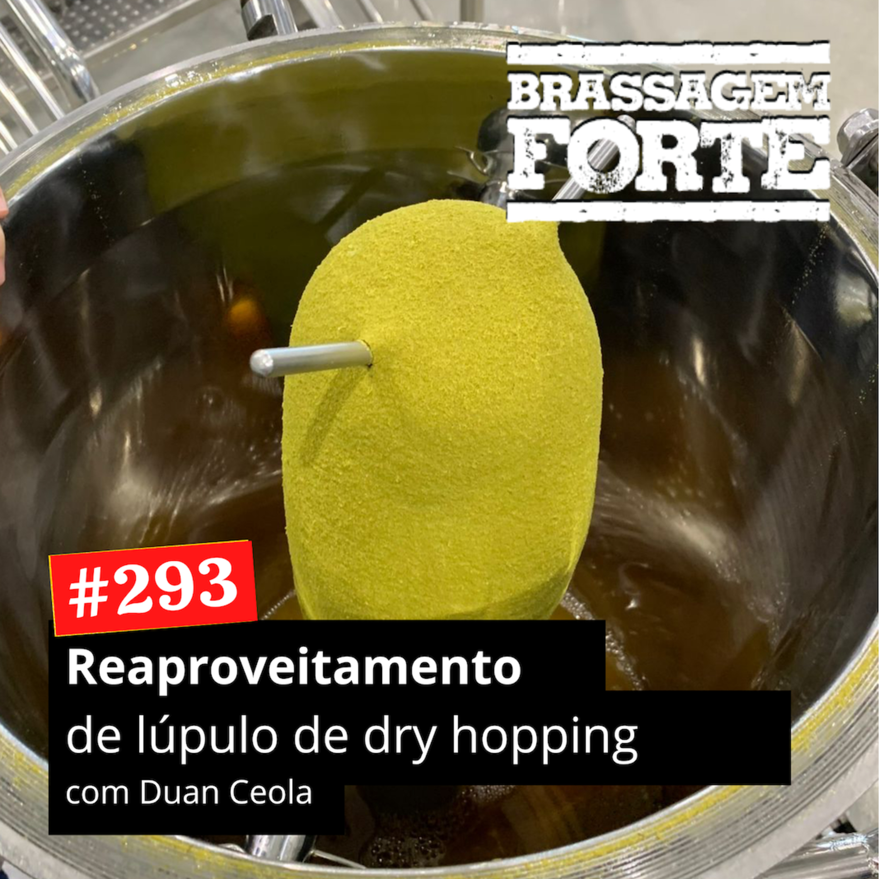 #293 - Reaproveitamento de Lúpulo de dry hopping