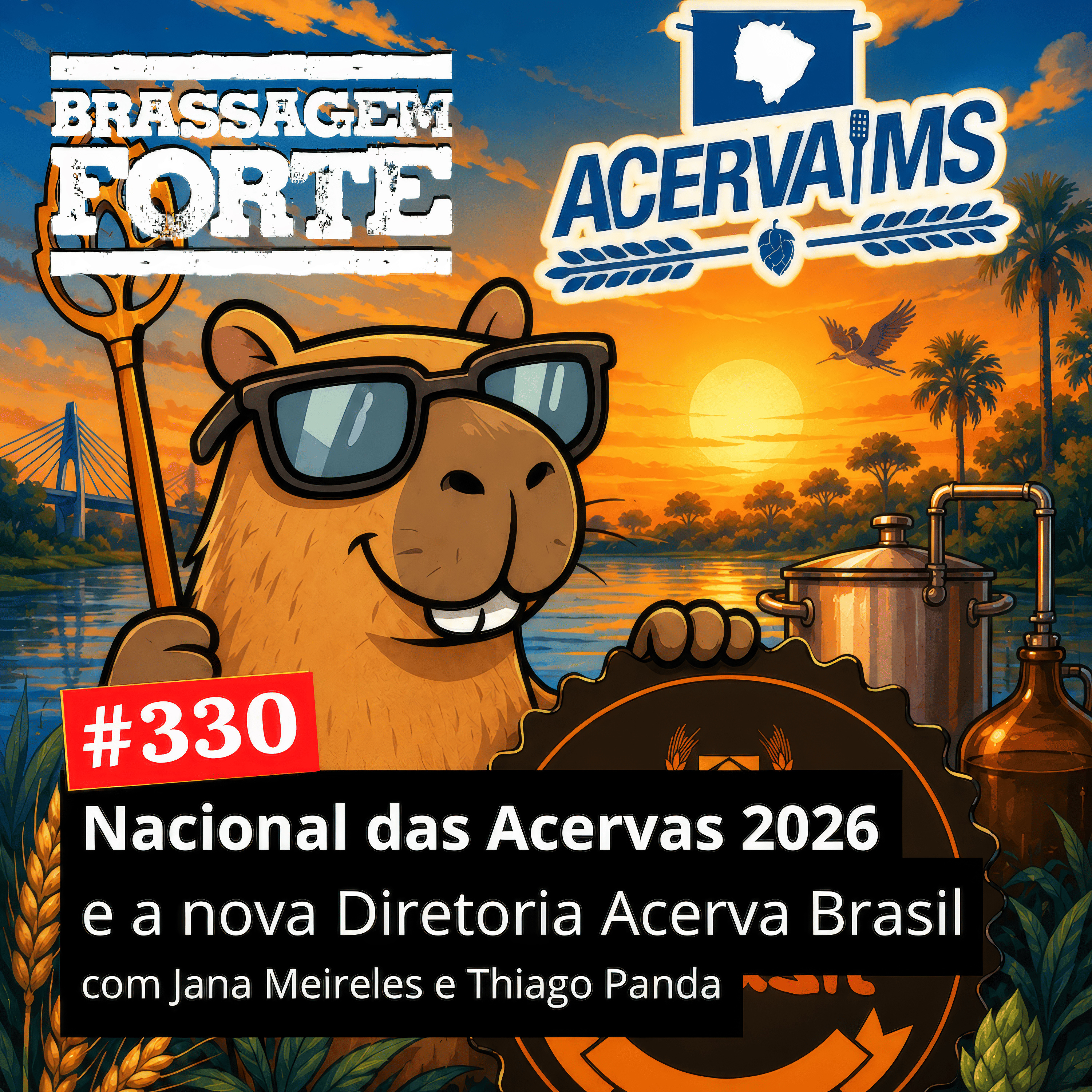 #330 - Nacional das Acervas 2026 e a nova Diretoria Acerva Brasil. episode artwork