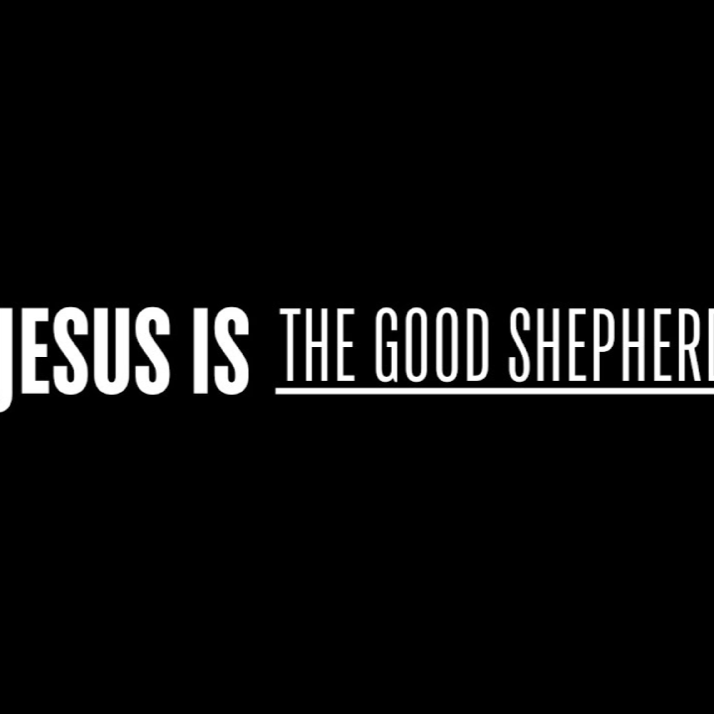 The Good Shepherd episode artwork