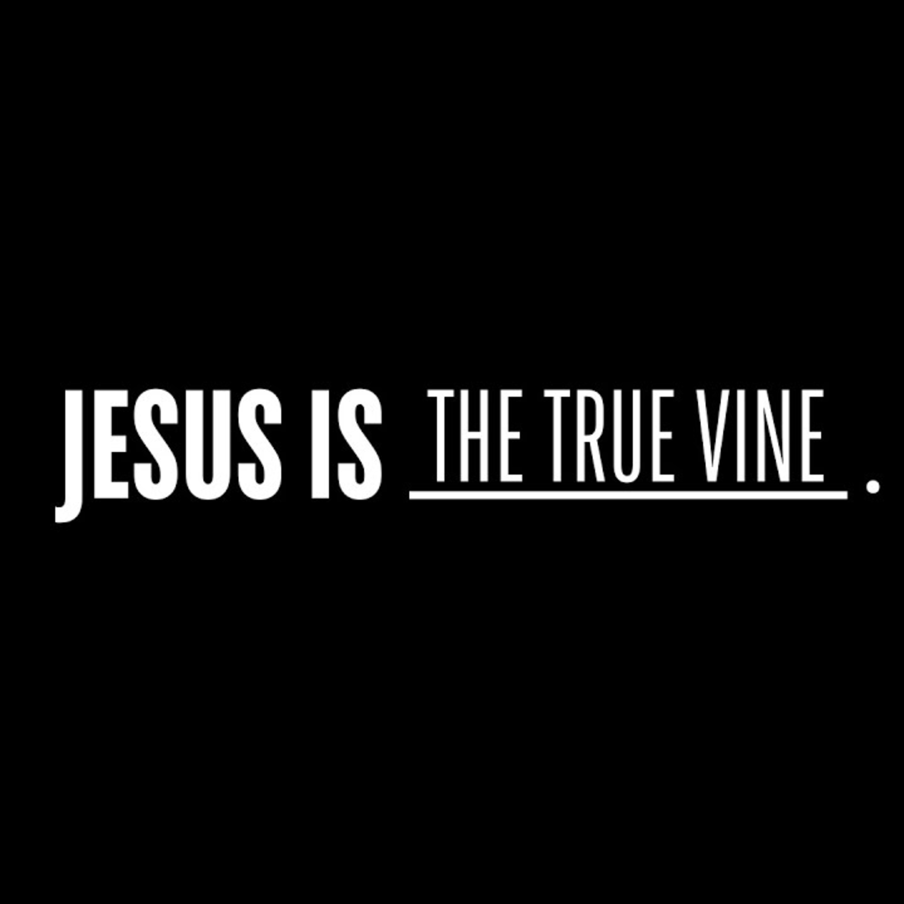 The True Vine episode artwork