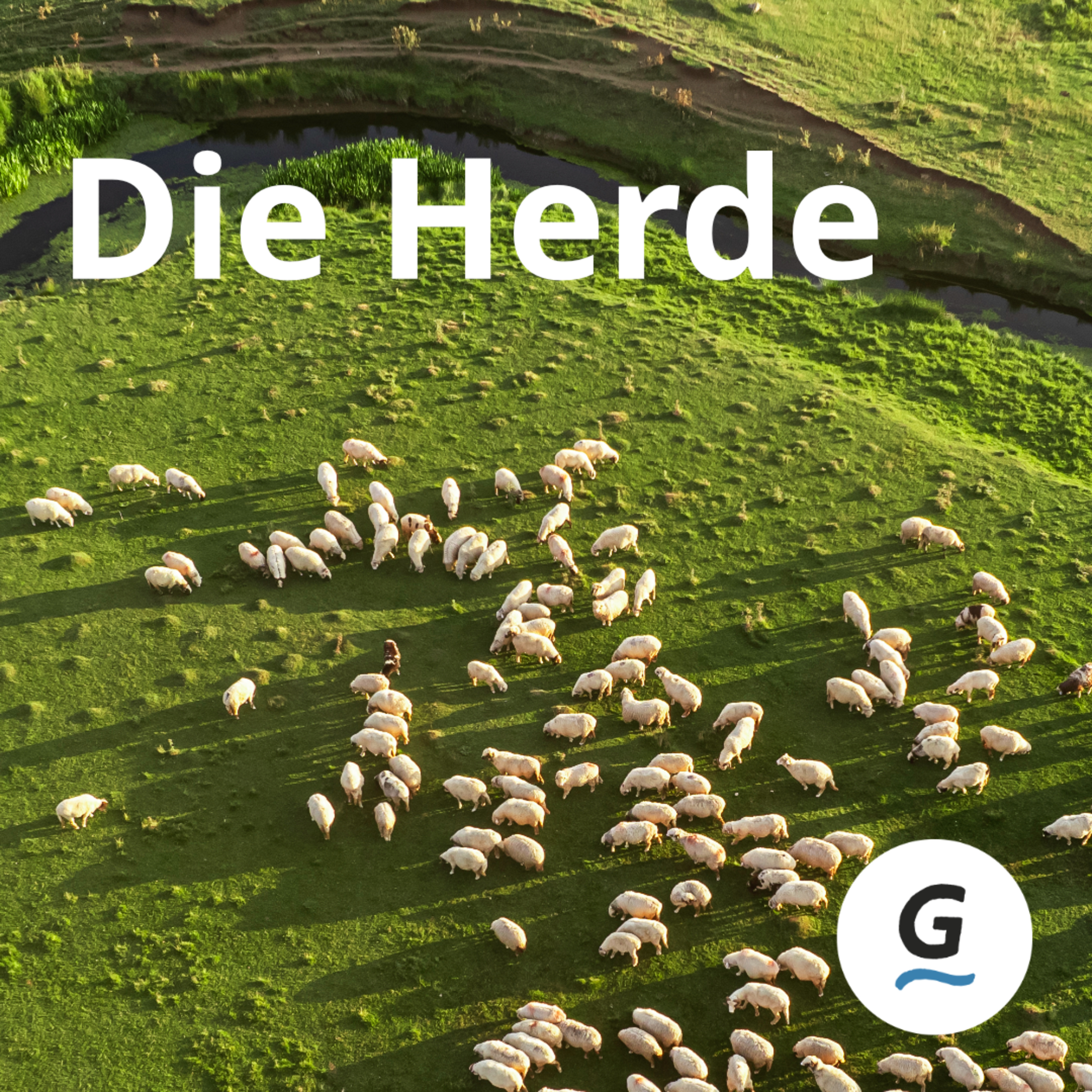 [DE] 10.05.2026 | Die Herde (3/3) | Samuel Maag episode artwork