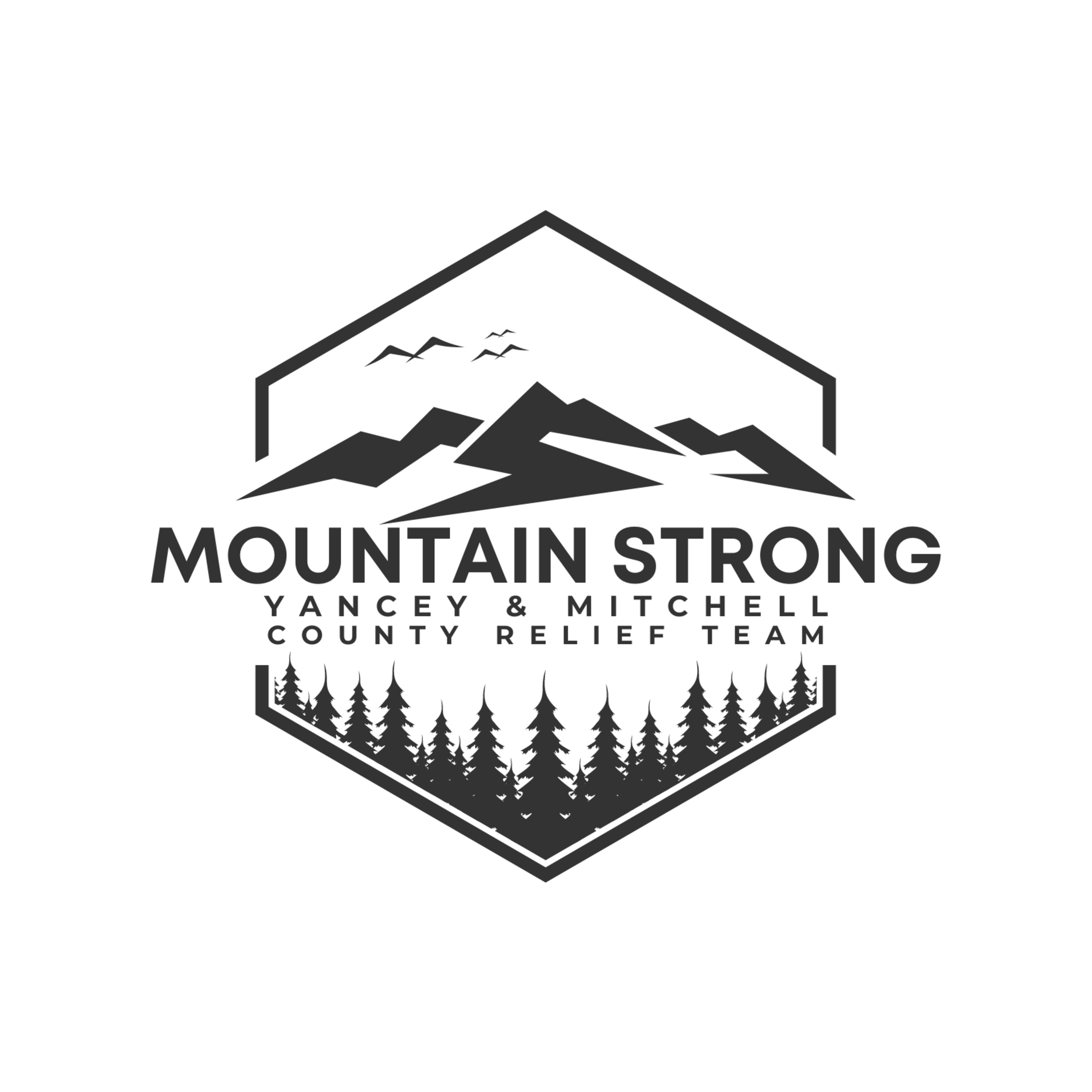 The Helene Series | Episode 14 - Carol Tyner, Mountain Strong episode artwork