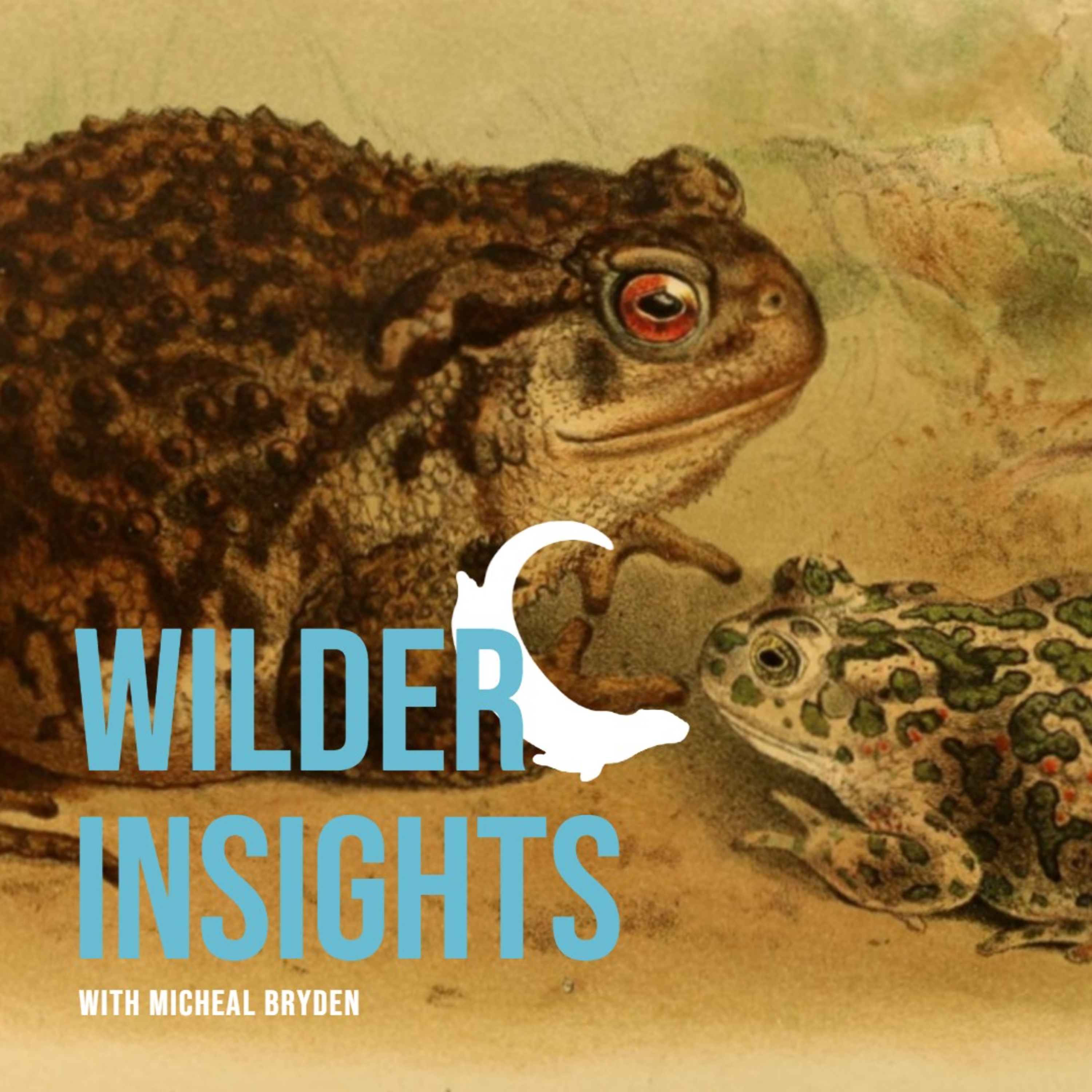 Wilder Insights with Mike Bryden