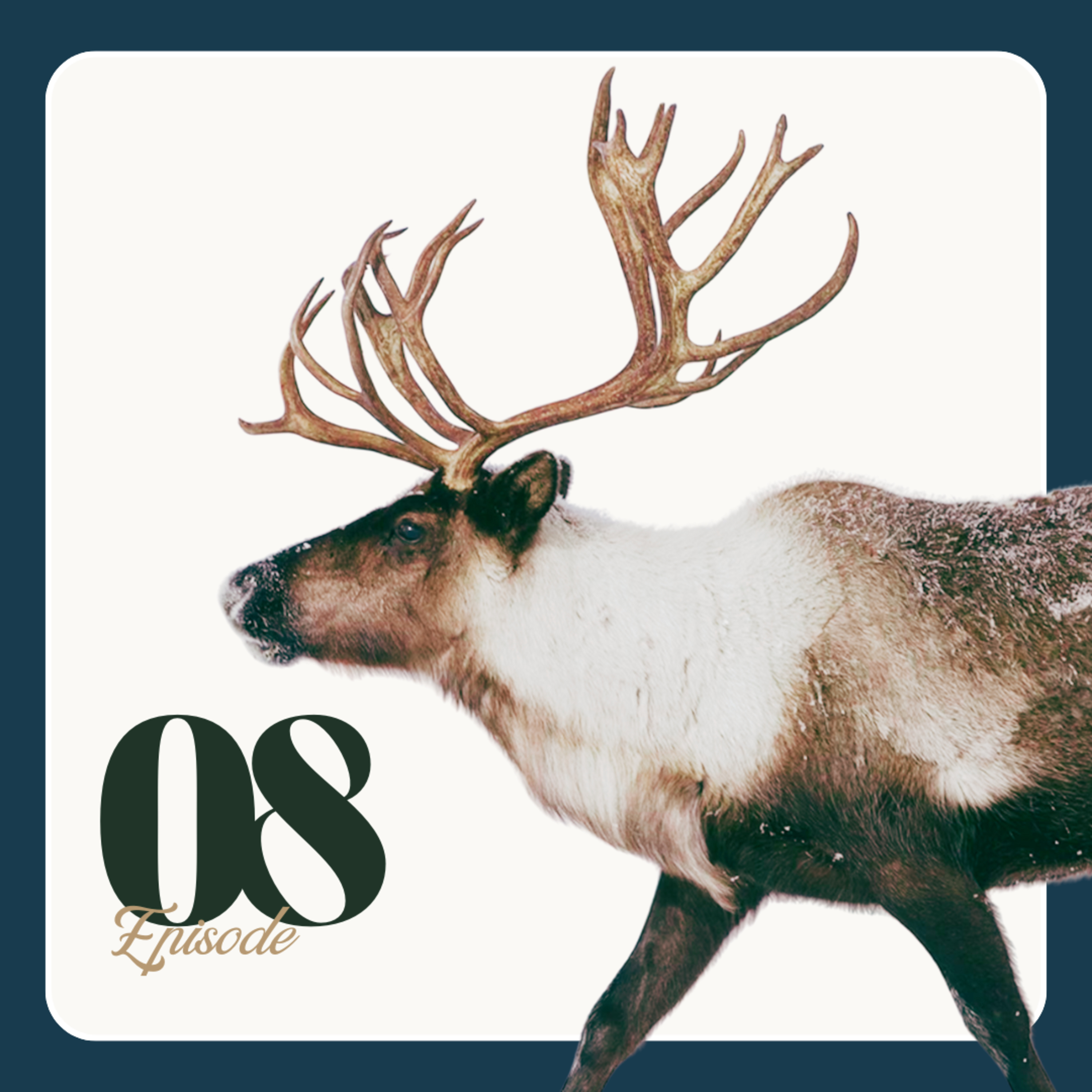 Caribou Cafeteria: Can Supplemental Feeding Save Declining Populations with Doug Heard | Ep 08