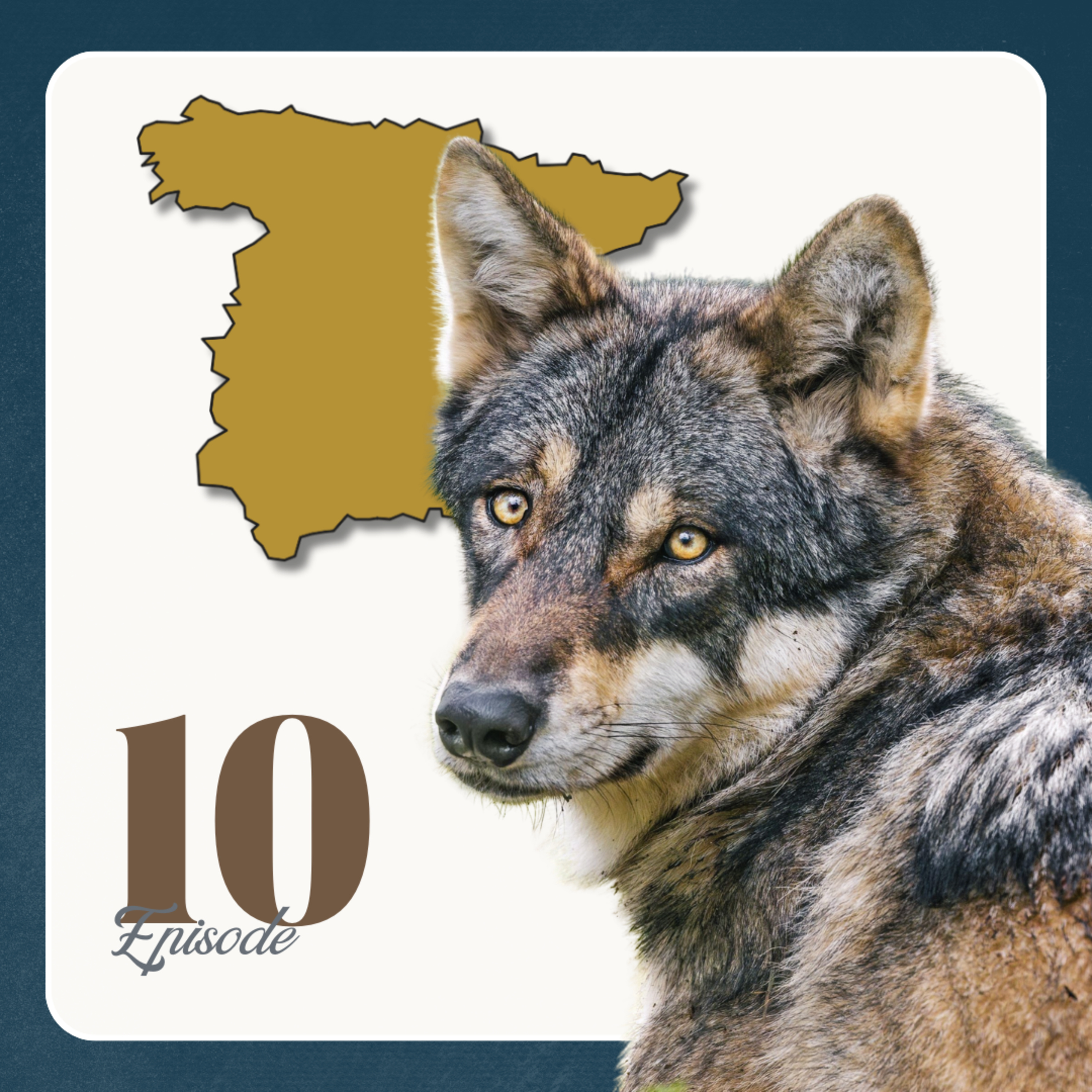 A Journey of Rewilding and Resilience with Katie Stacey | Ep 10