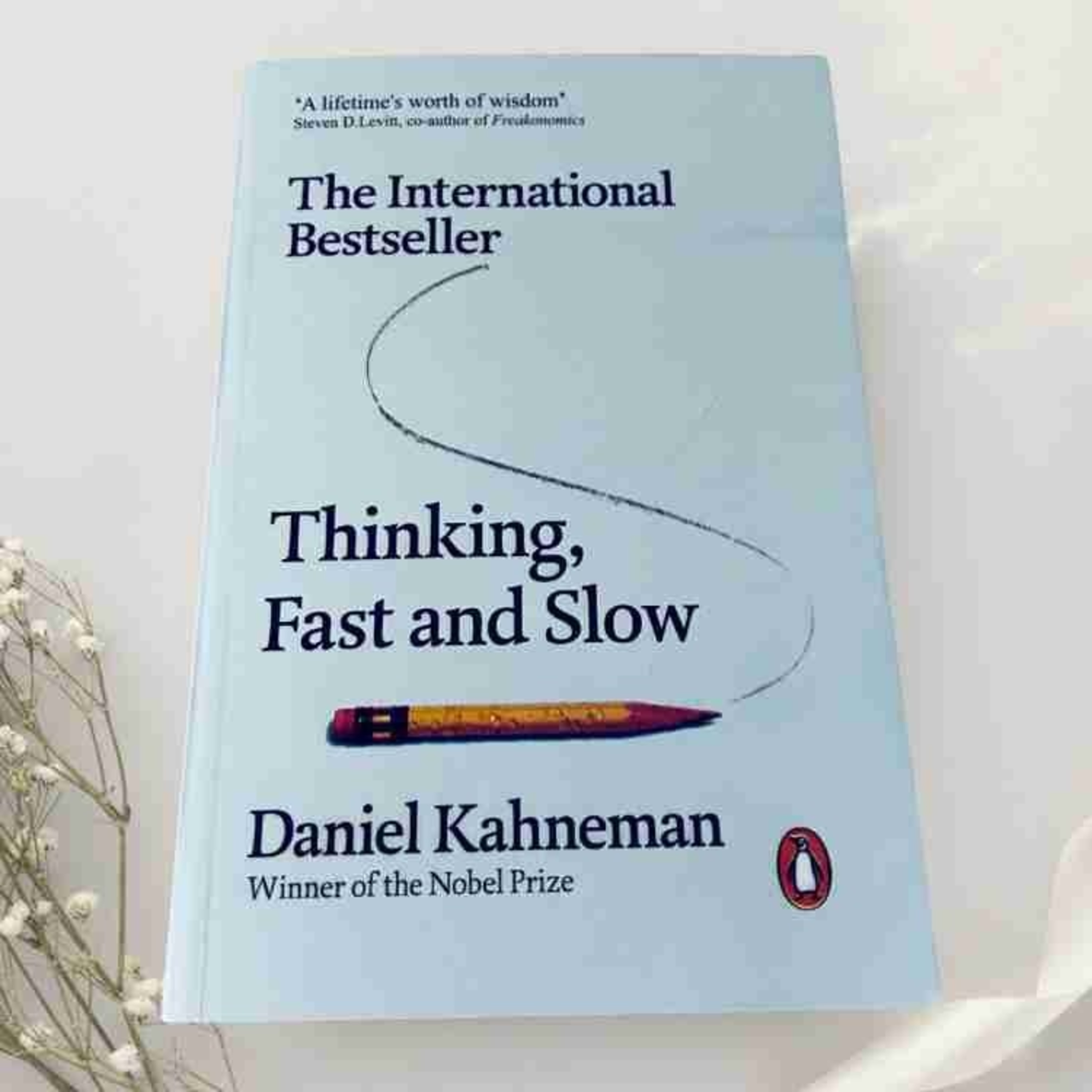 Thinking, Fast and Slow: Heuristics and Biases episode artwork