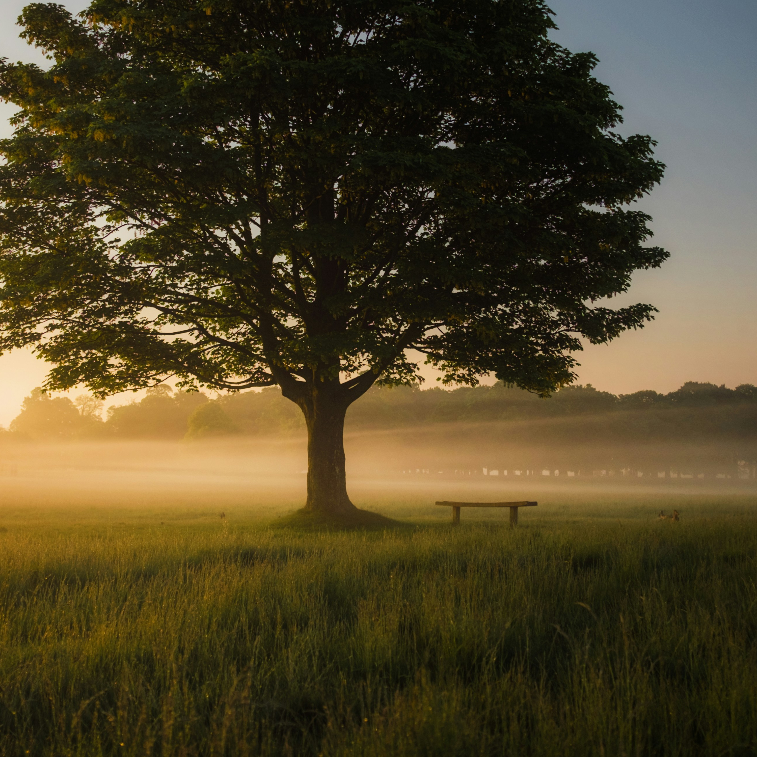 12. From fear of loneliness to helpful solitude, or Why we need to learn to be alone