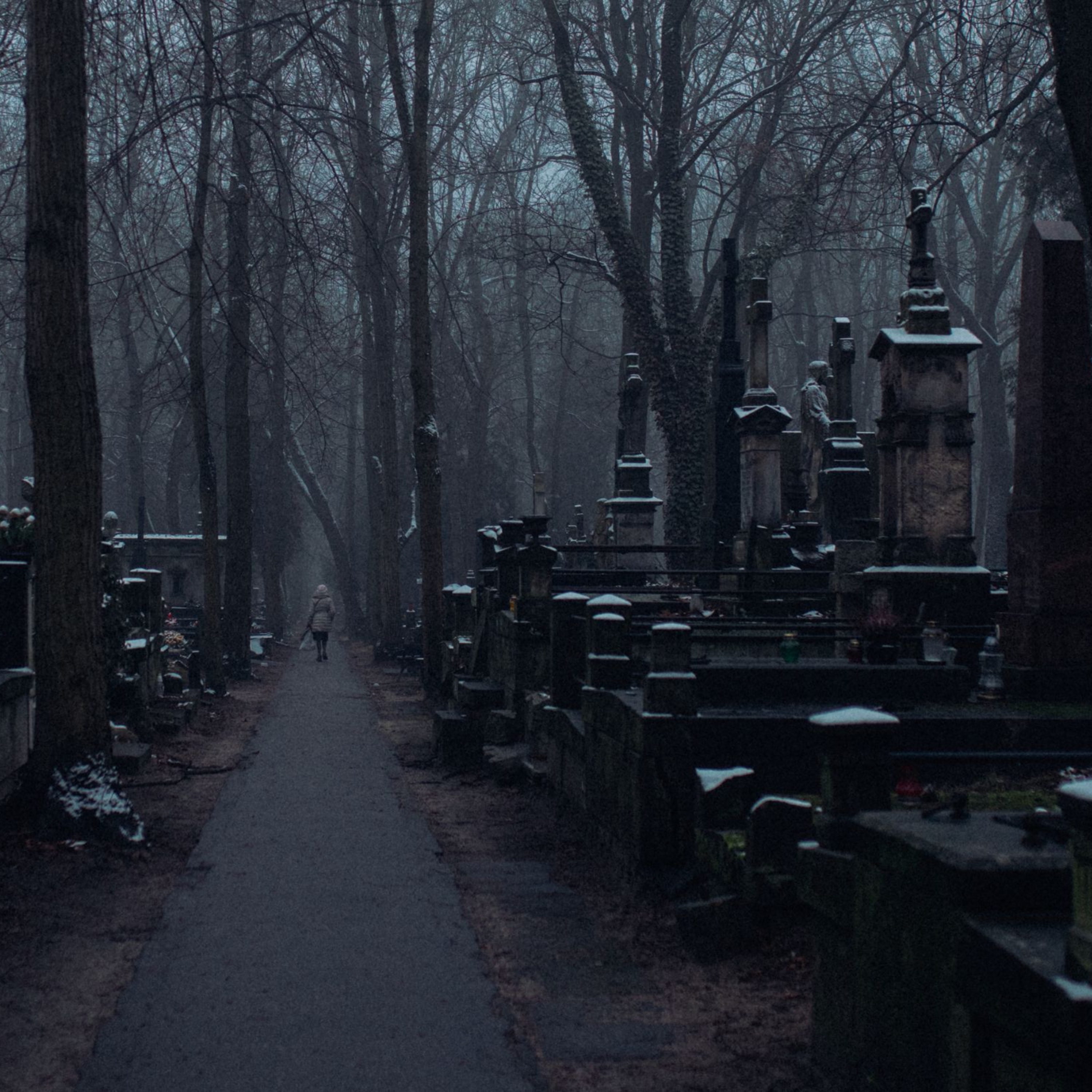 11. Death and other problems in the second half of life